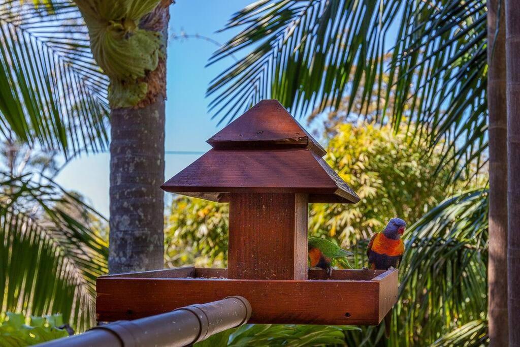 Lyrebird House