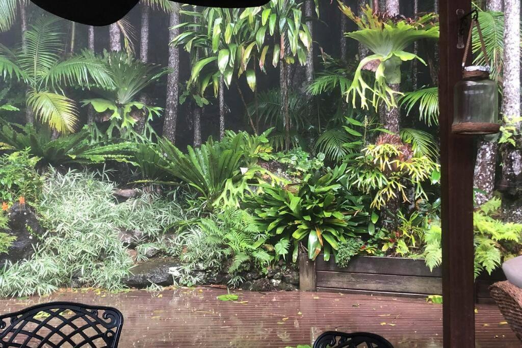 Lyrebird House
