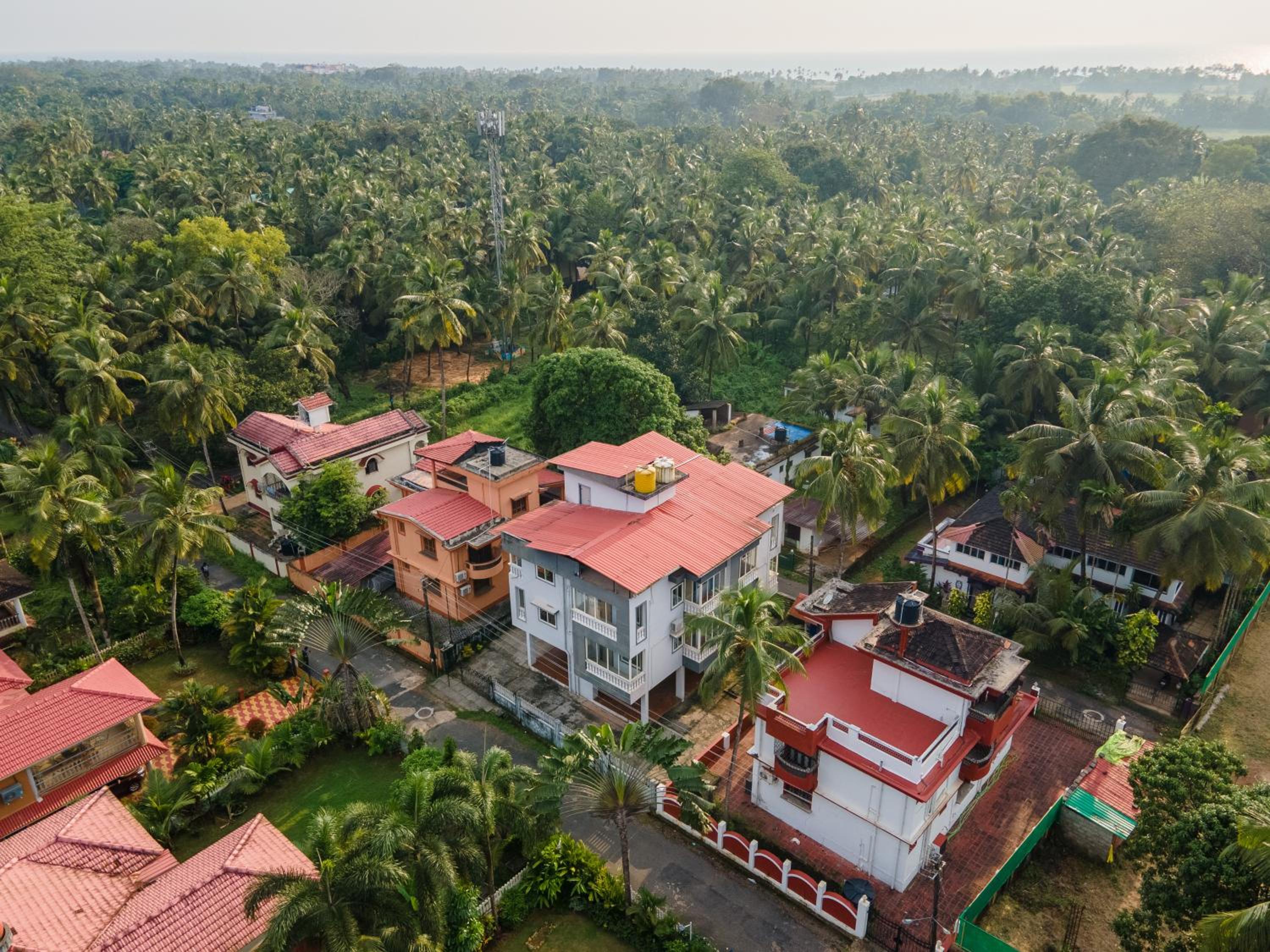Photo 29