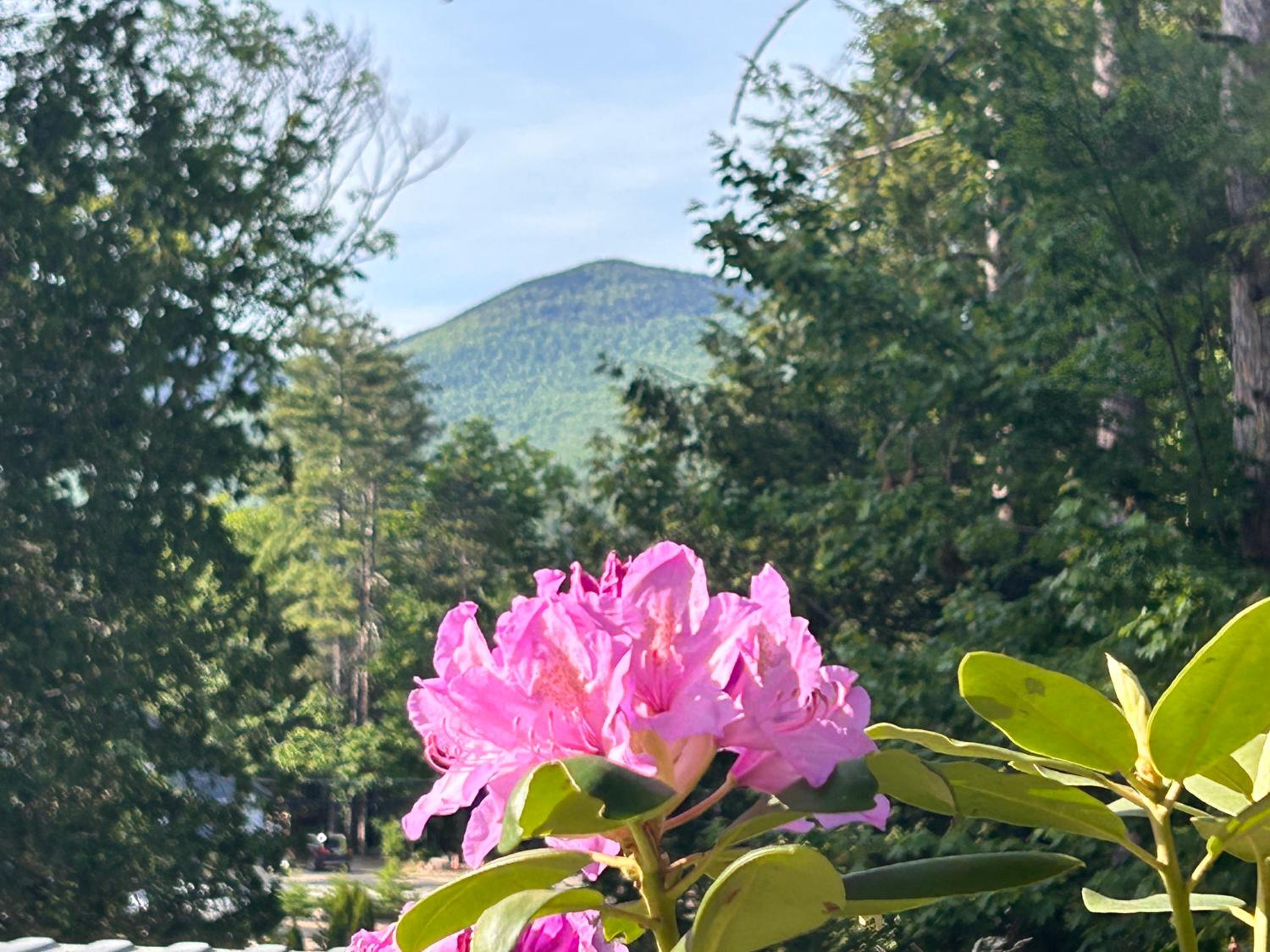 The Aurora Inn & Cottages