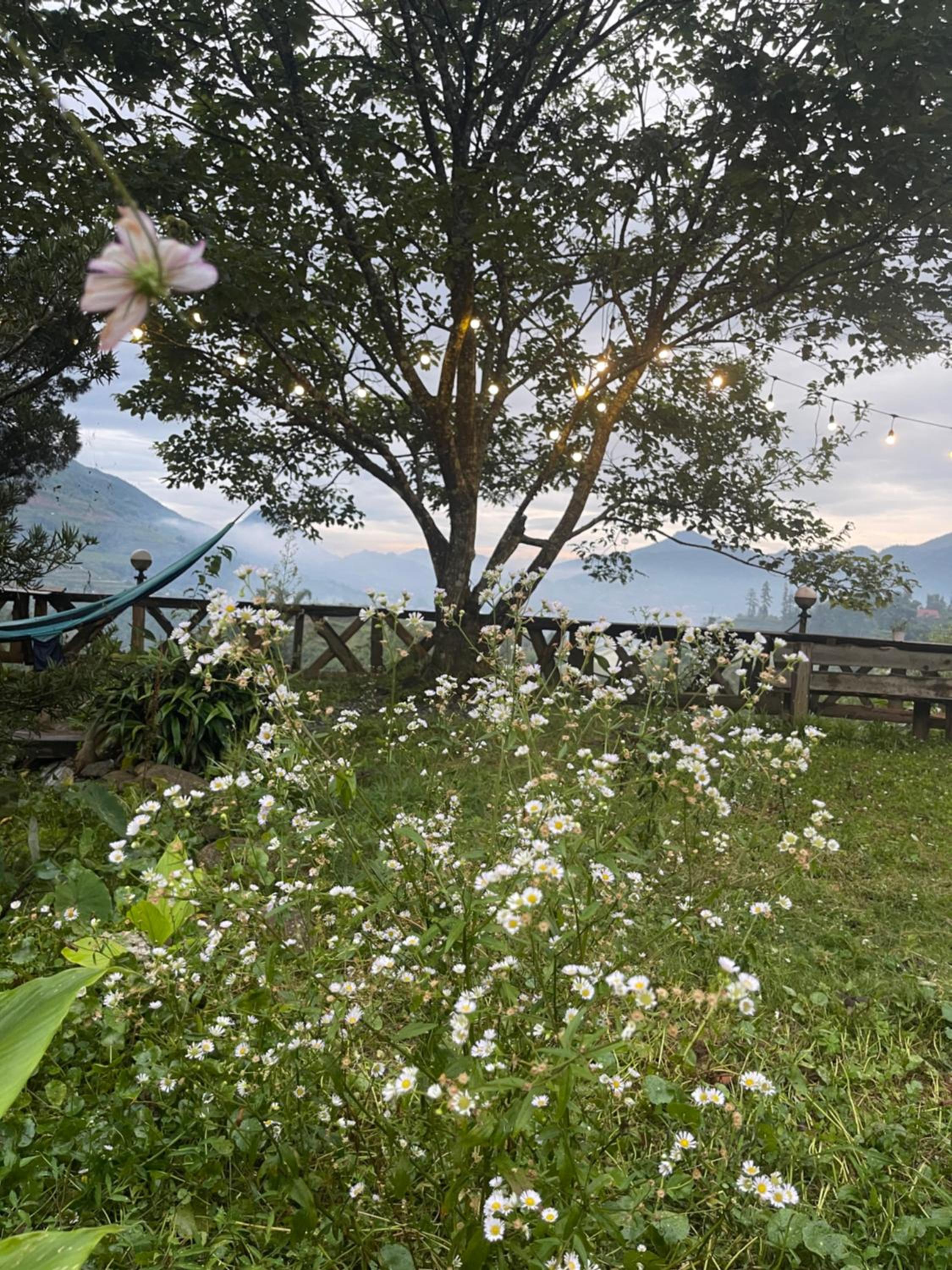 Pea homestay view 5