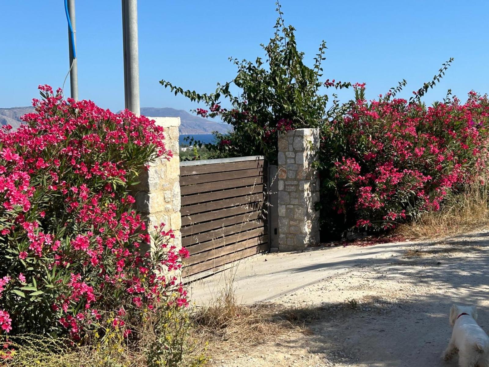 Villa Maïa