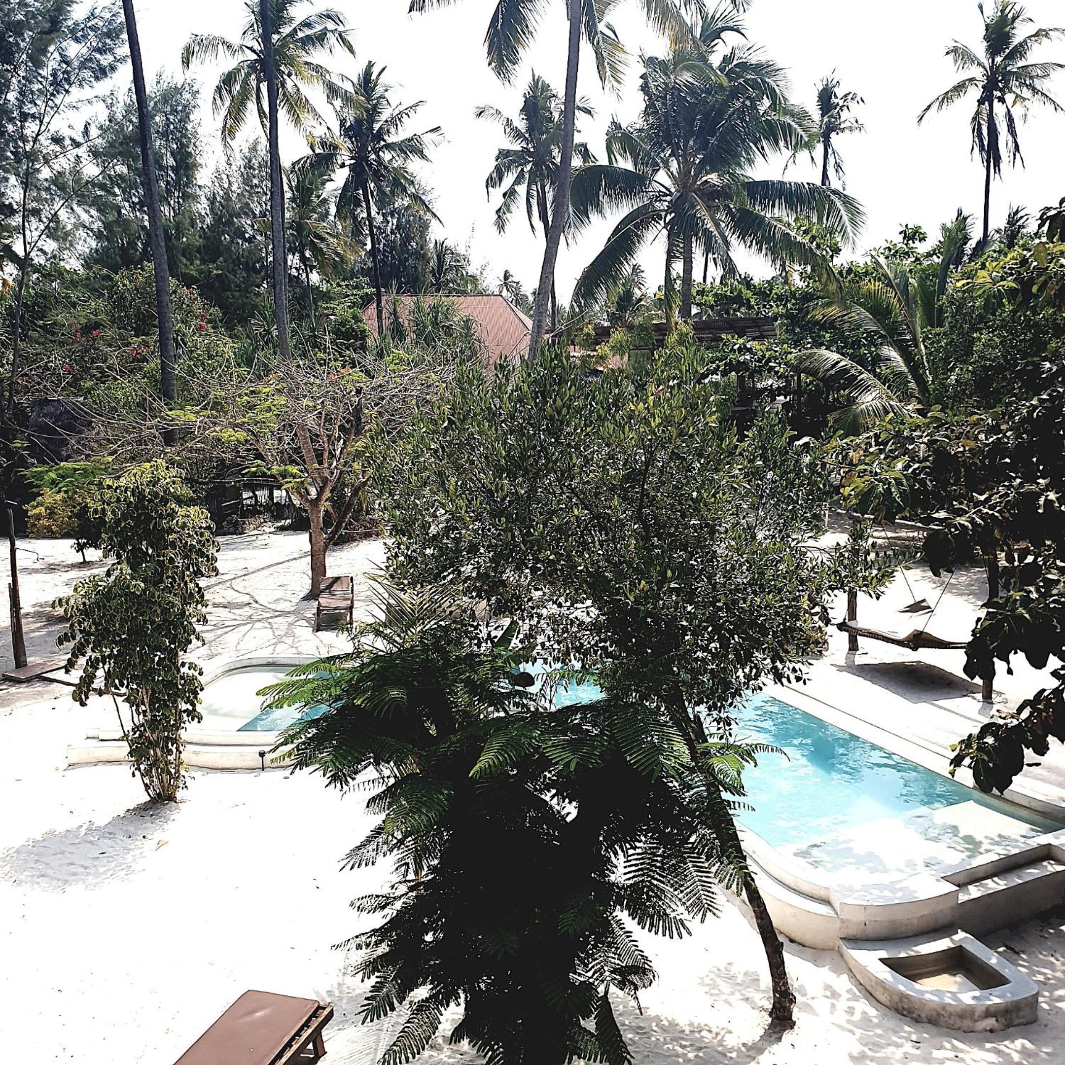 Michamvi Spirit Lodge view 3