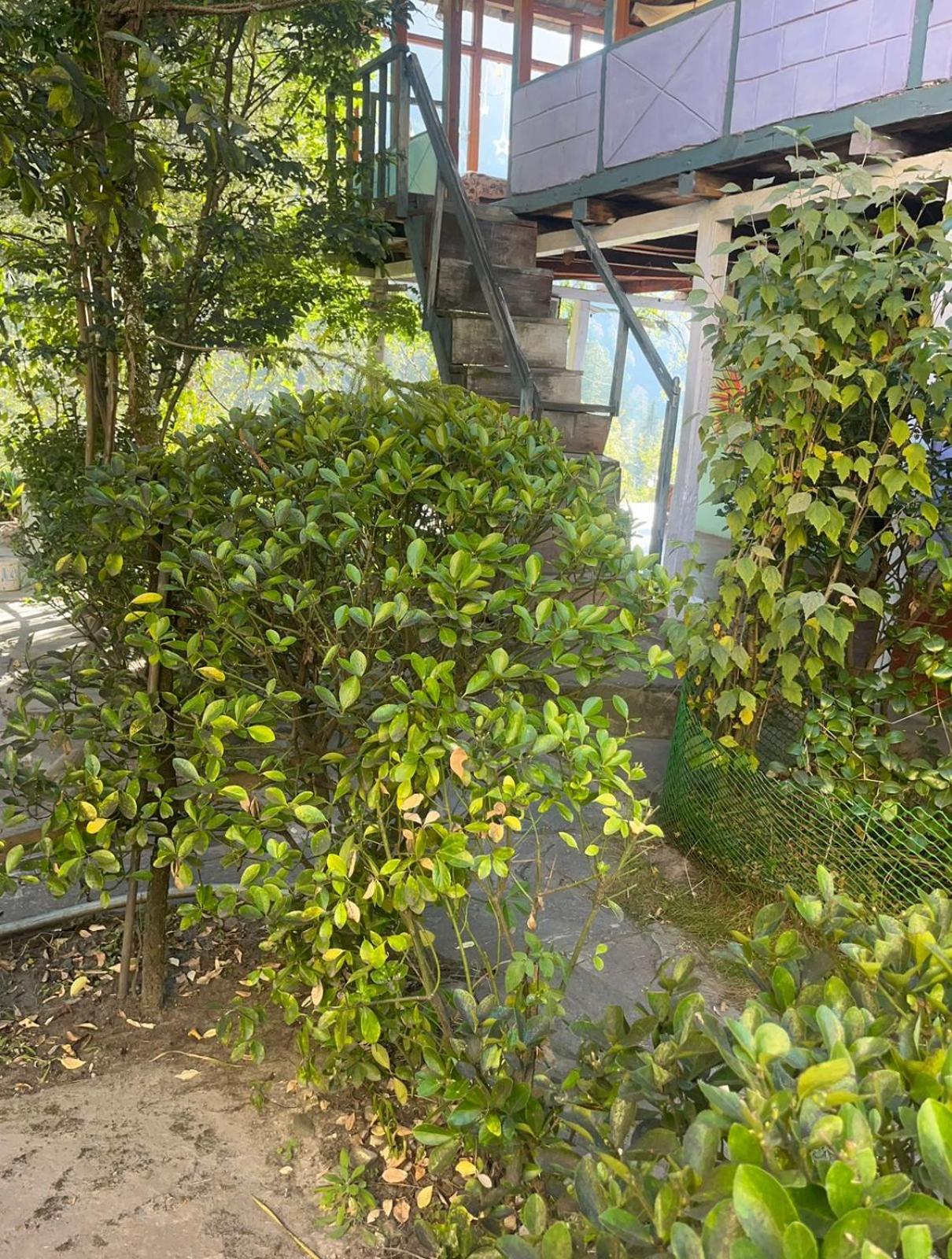 Parma guest house view 4