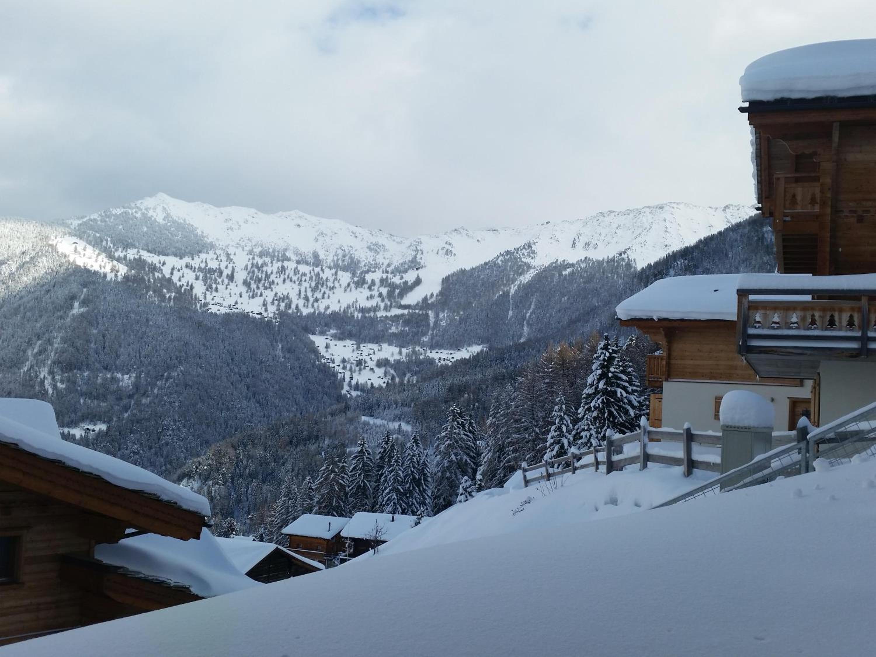 Chalet Sapin Argente