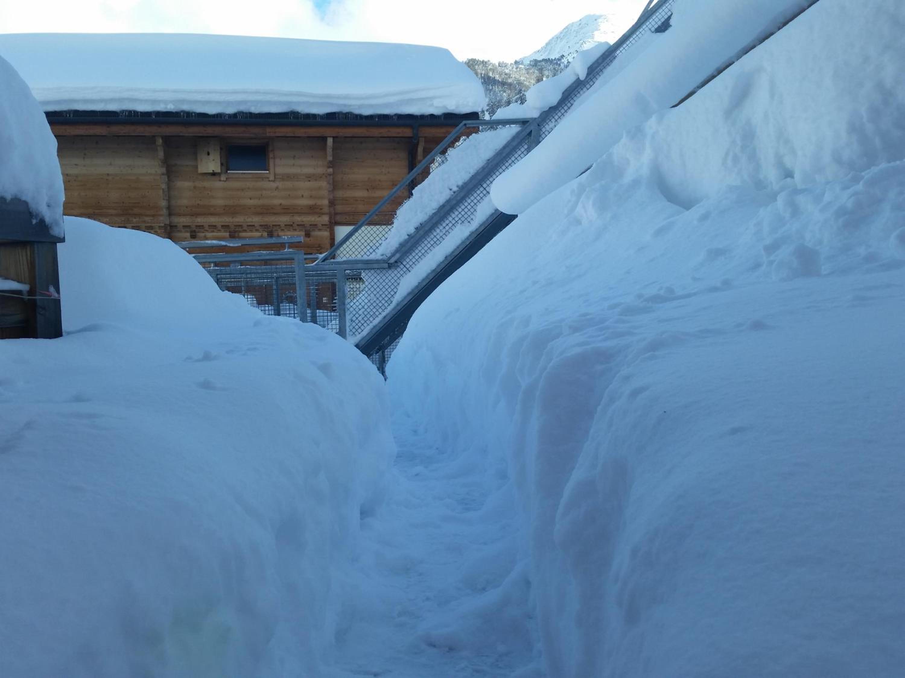 Chalet Sapin Argente