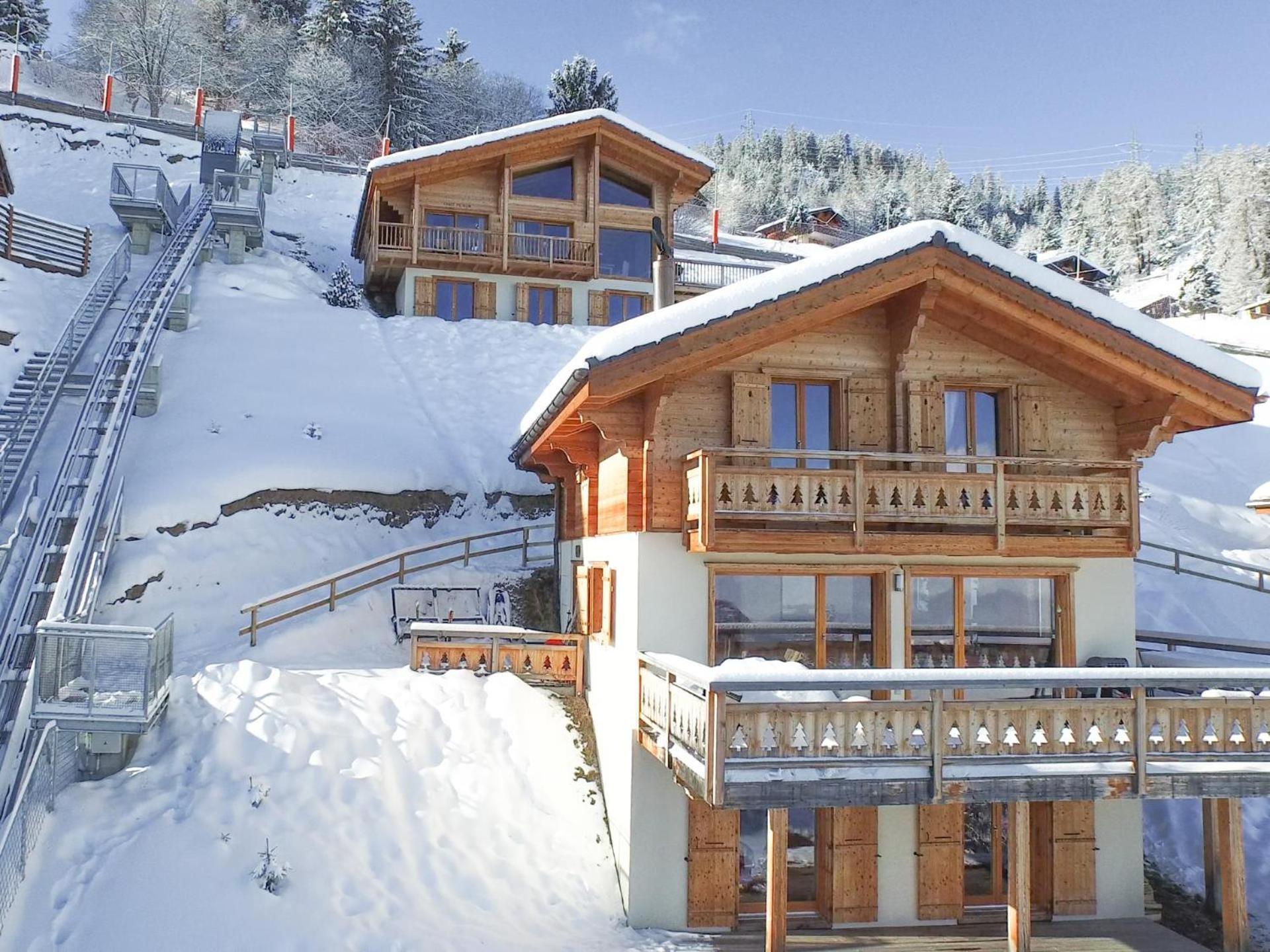 Chalet Sapin Argente