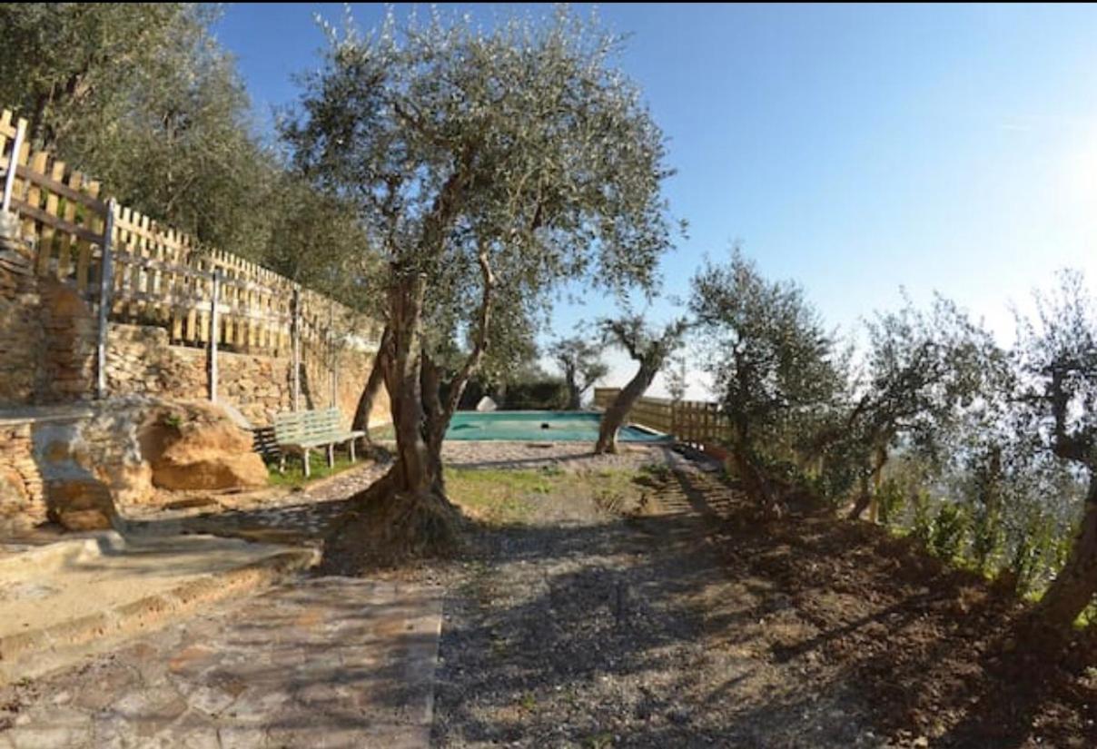 Podere San Martino photo 3