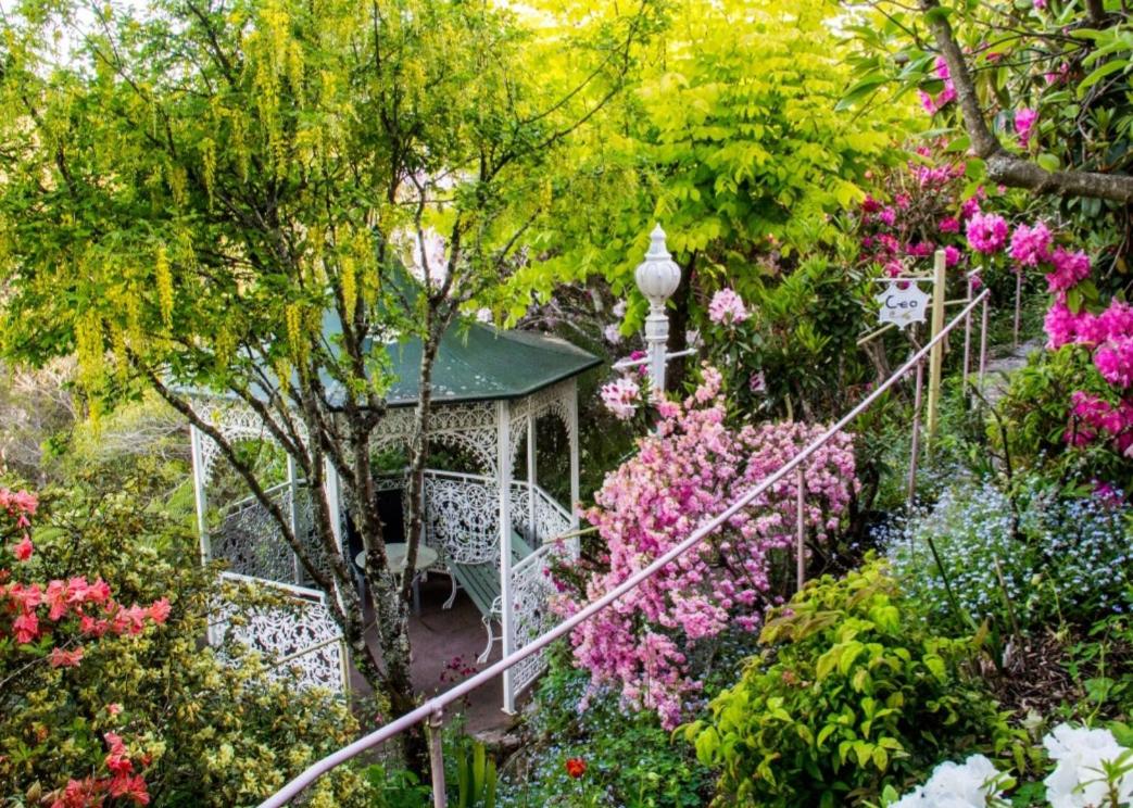 Dalia's Blue Mountain Retreat