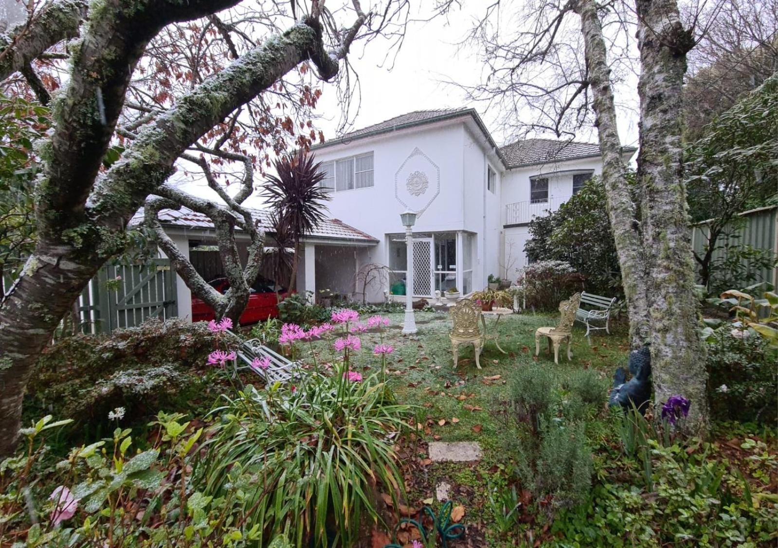 Hotel Dalia's Blue Mountain Retreat - Image 1