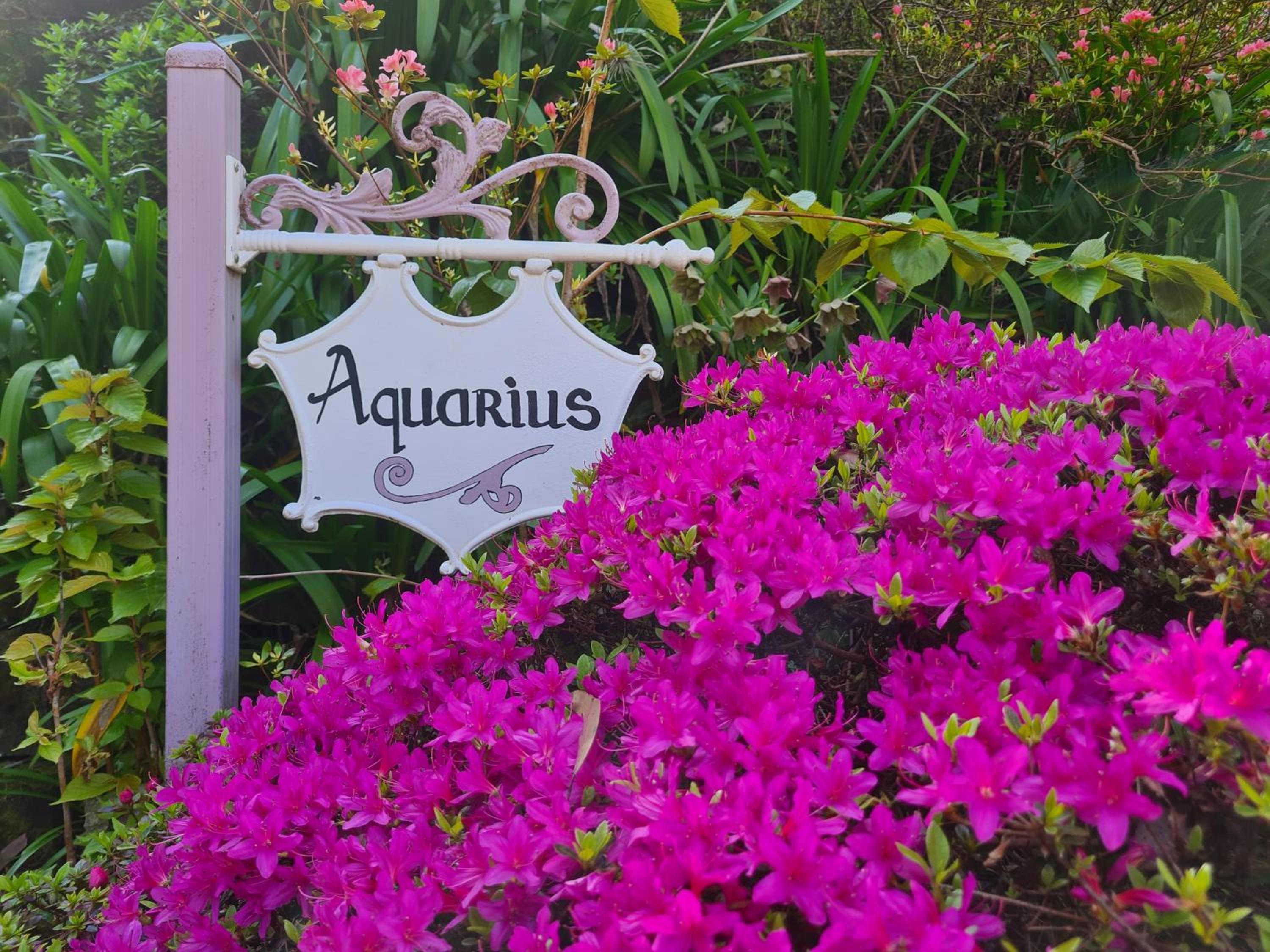 Dalia's Blue Mountain Retreat