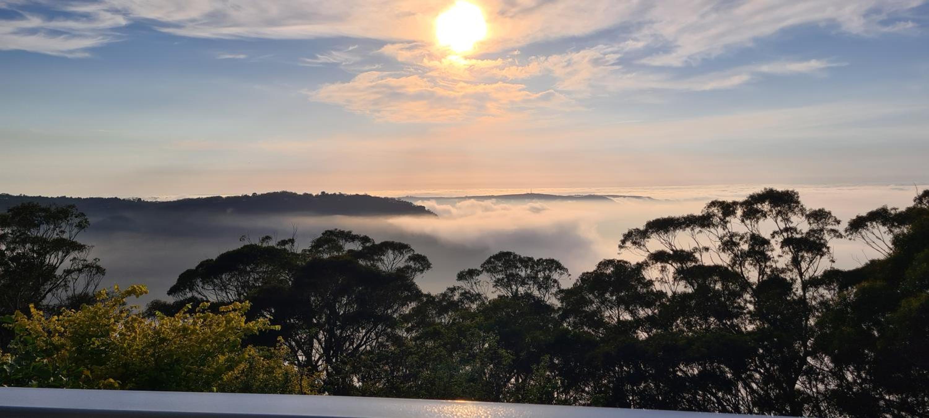 Dalia's Blue Mountain Retreat