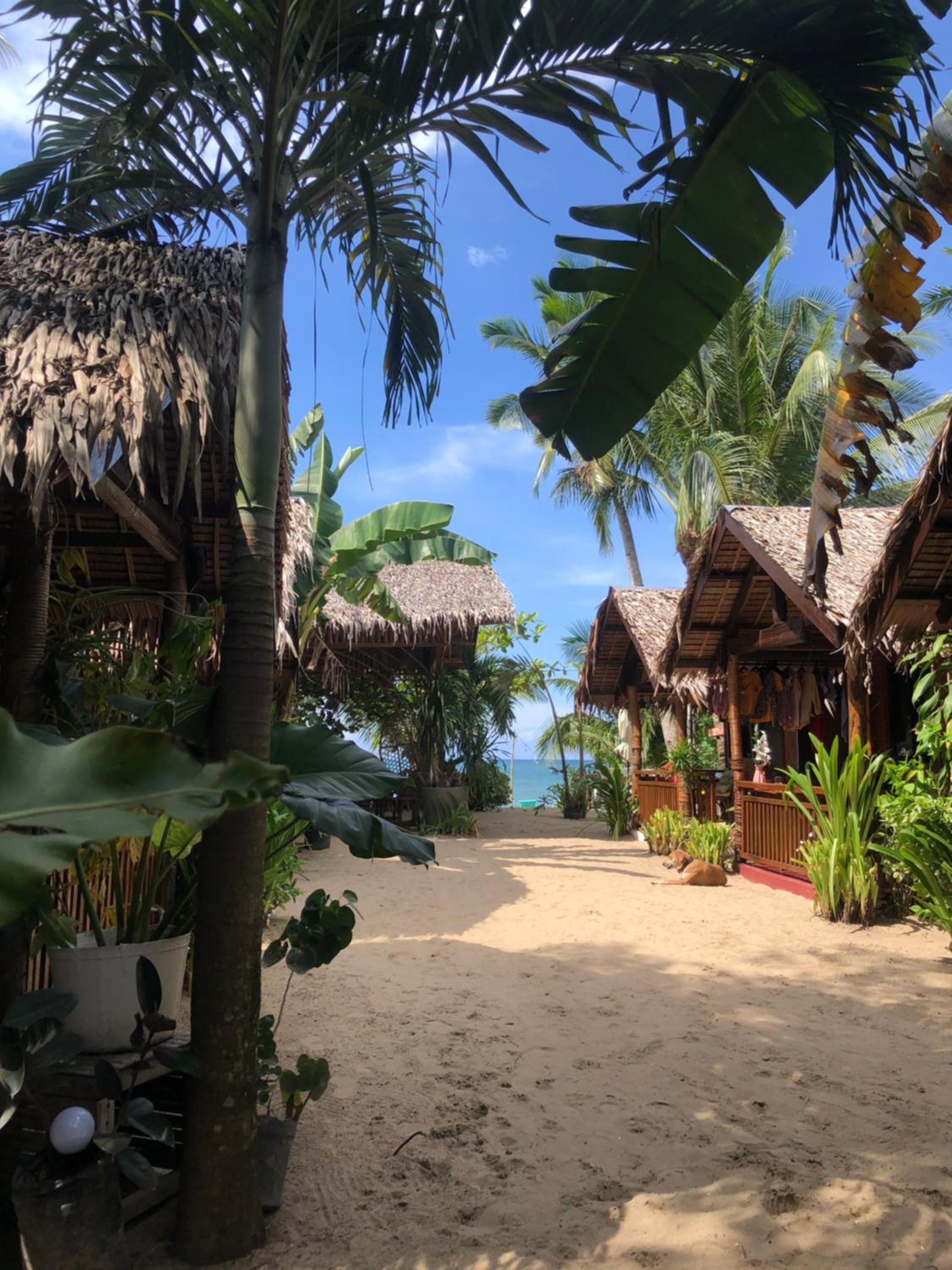 Zhaya's Beach & Cottages - Image 4