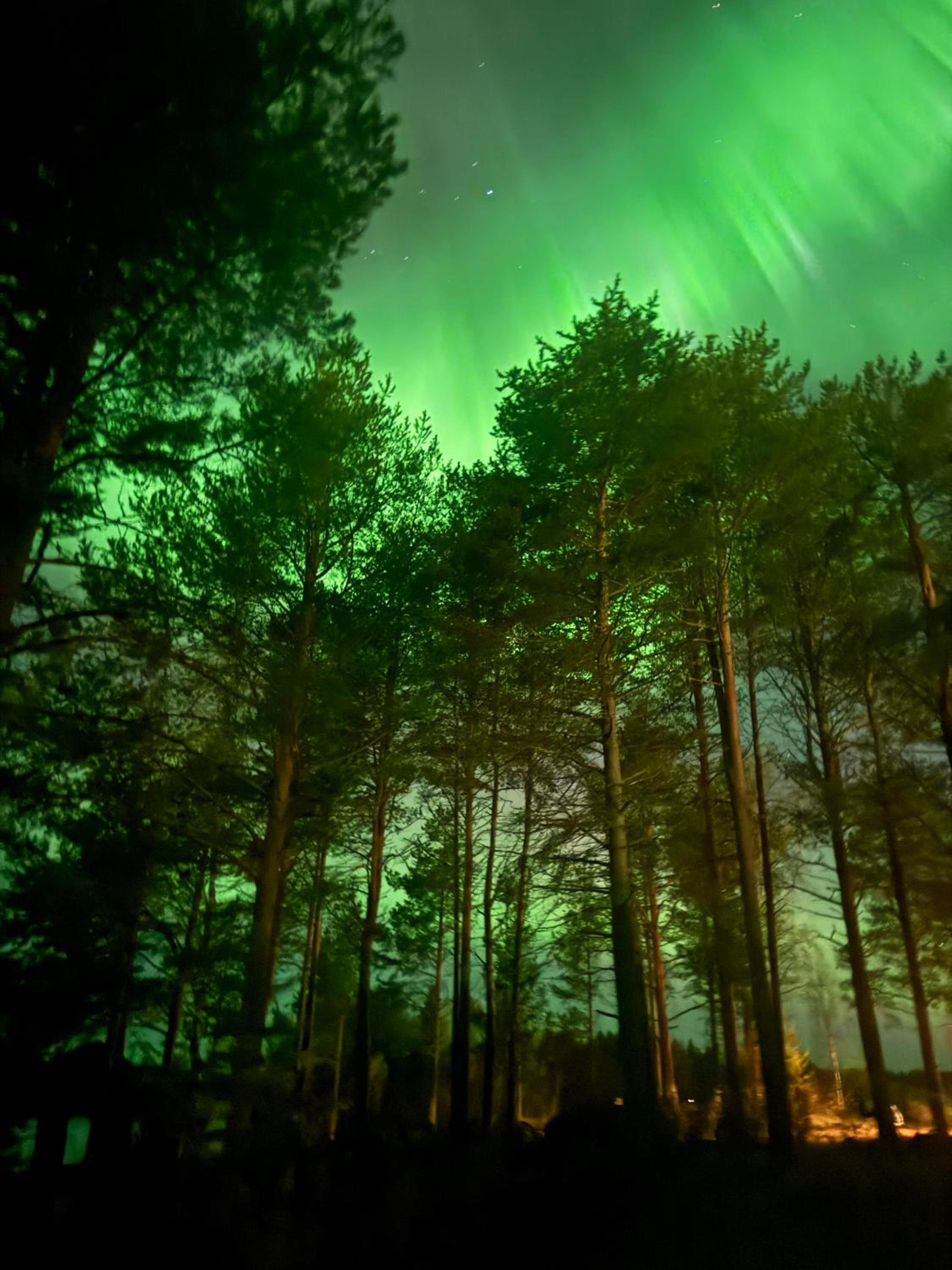 Lapland Arctic Cabins