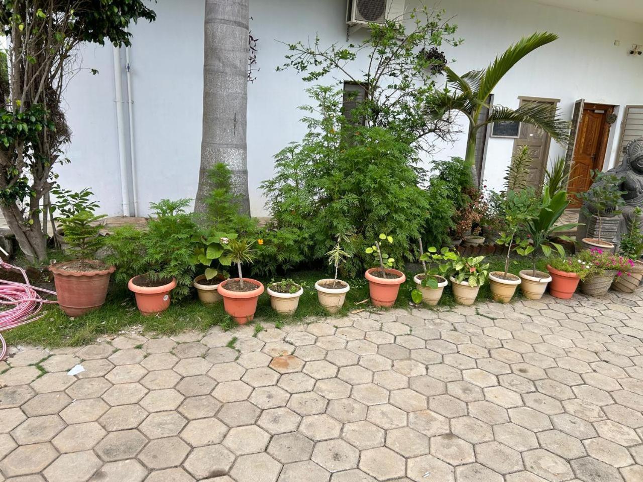 Blissful Haven Art House - near entrance to Auroville view 2