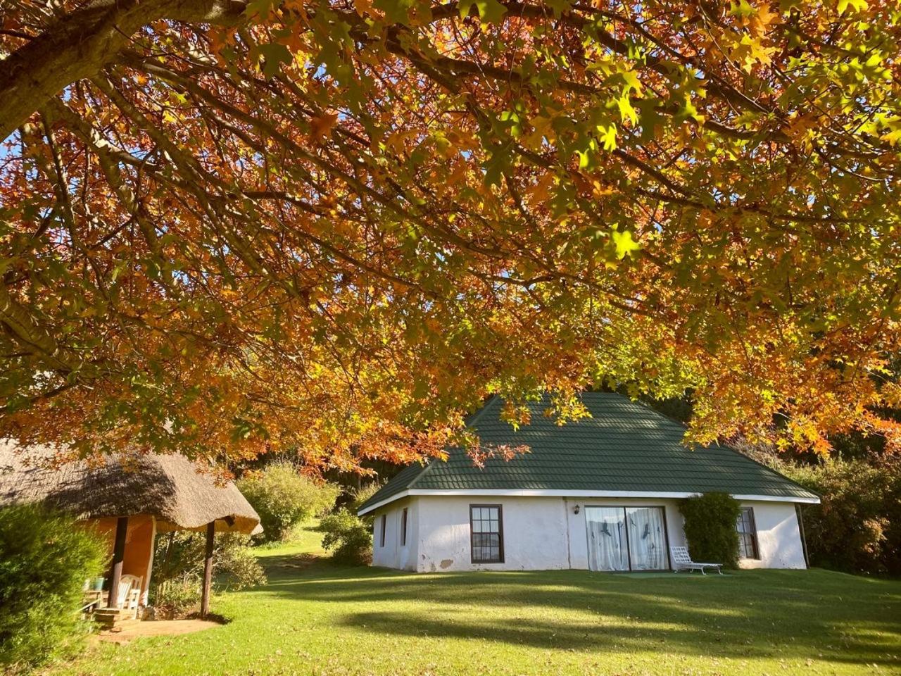Pear Tree Cottage-Underberg view 2