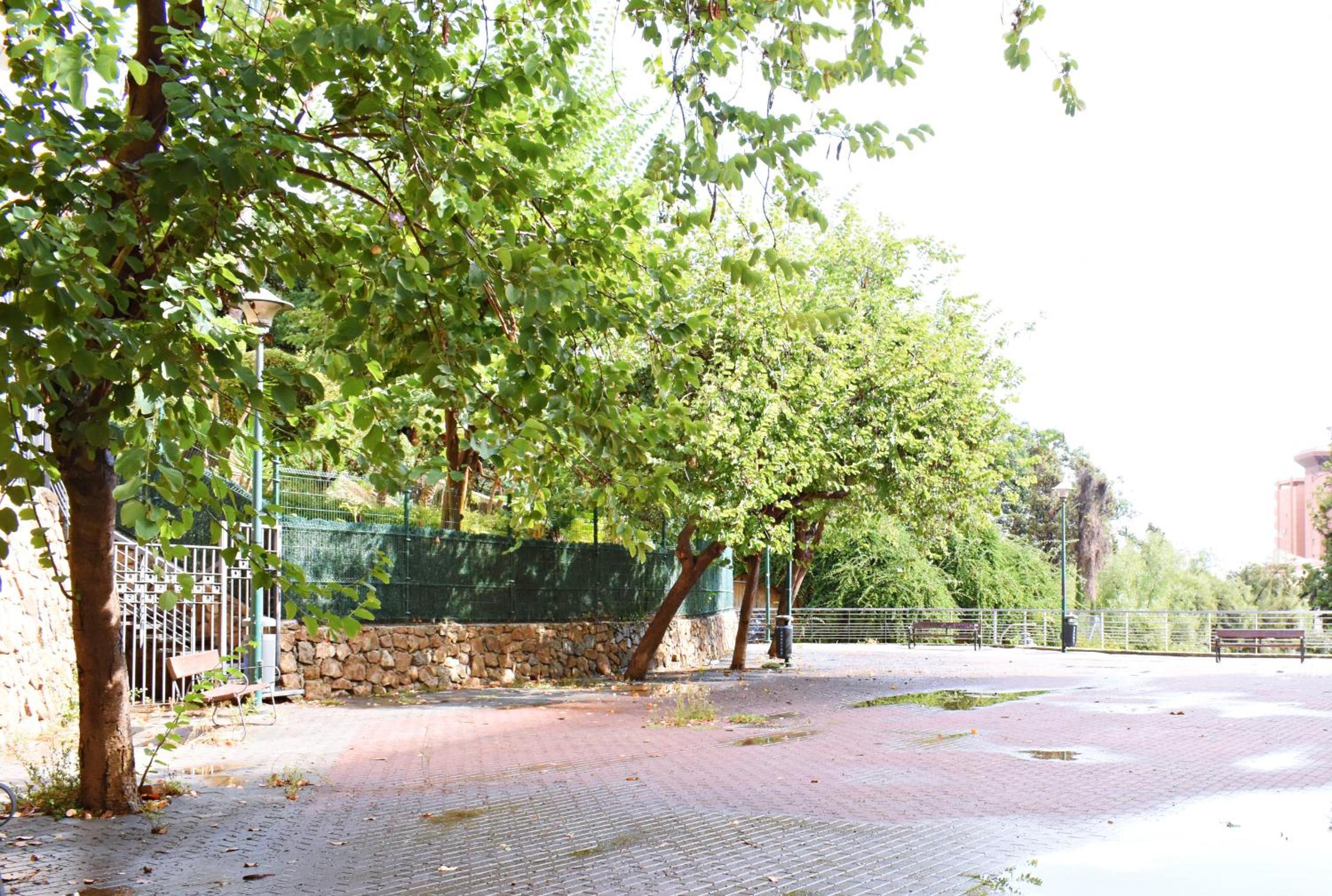 Malagueta's Home Cozy apartment with parking and swimming pool