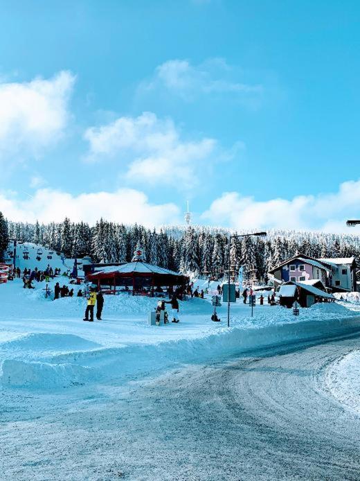Ski Apartmán Salomon