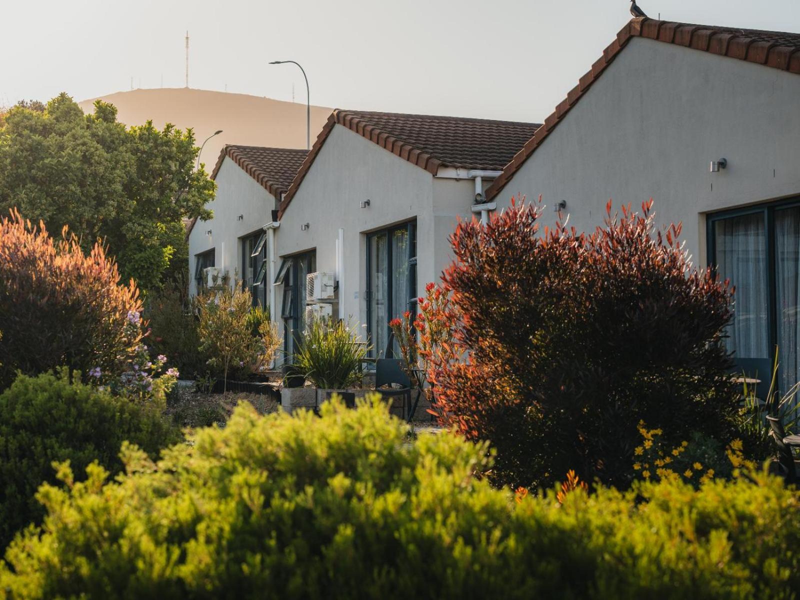 Cape Panorama Lodge