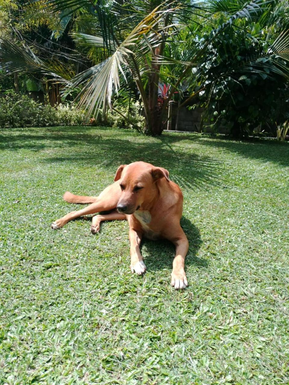 Photo 10