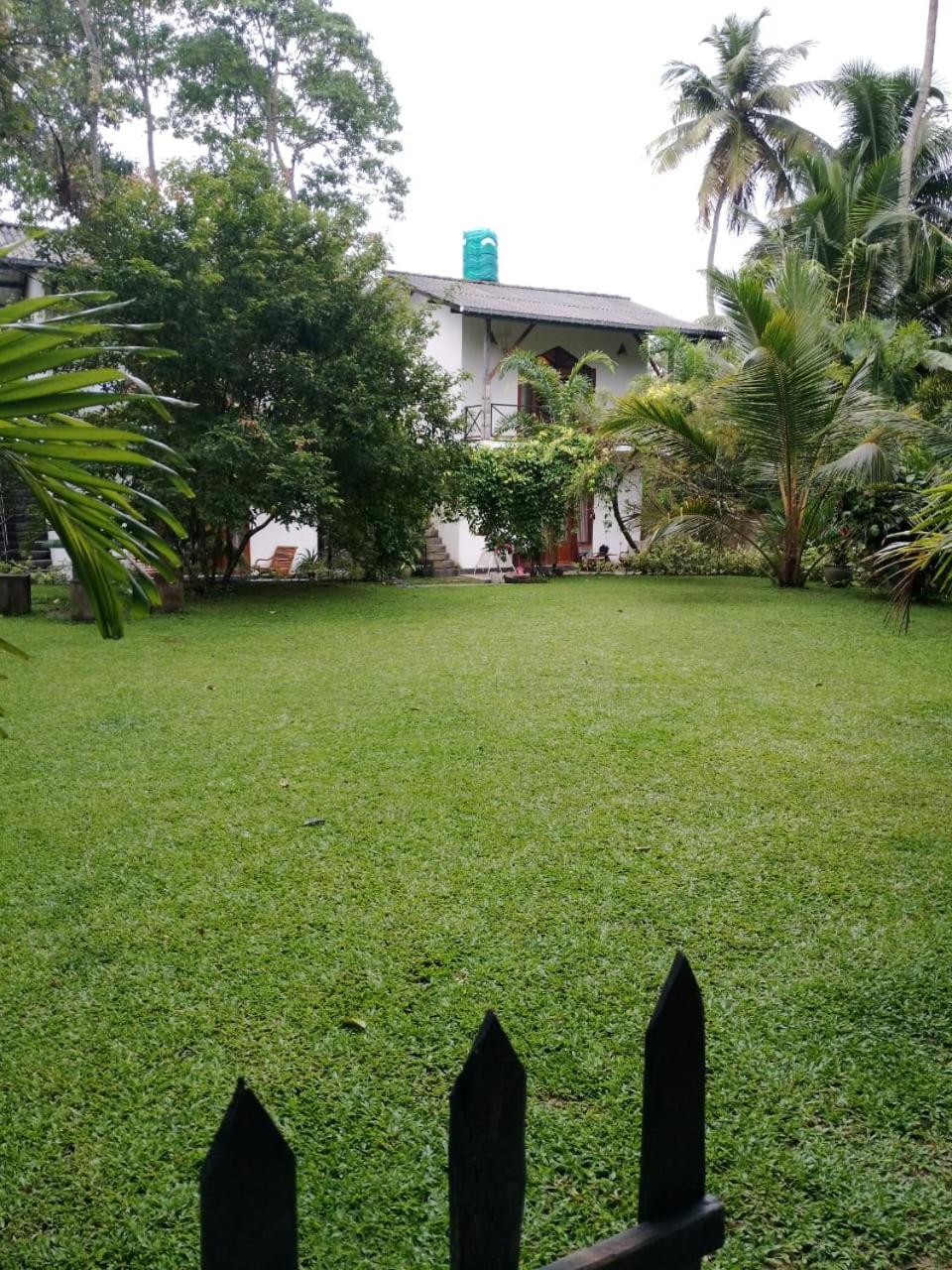 Photo 7