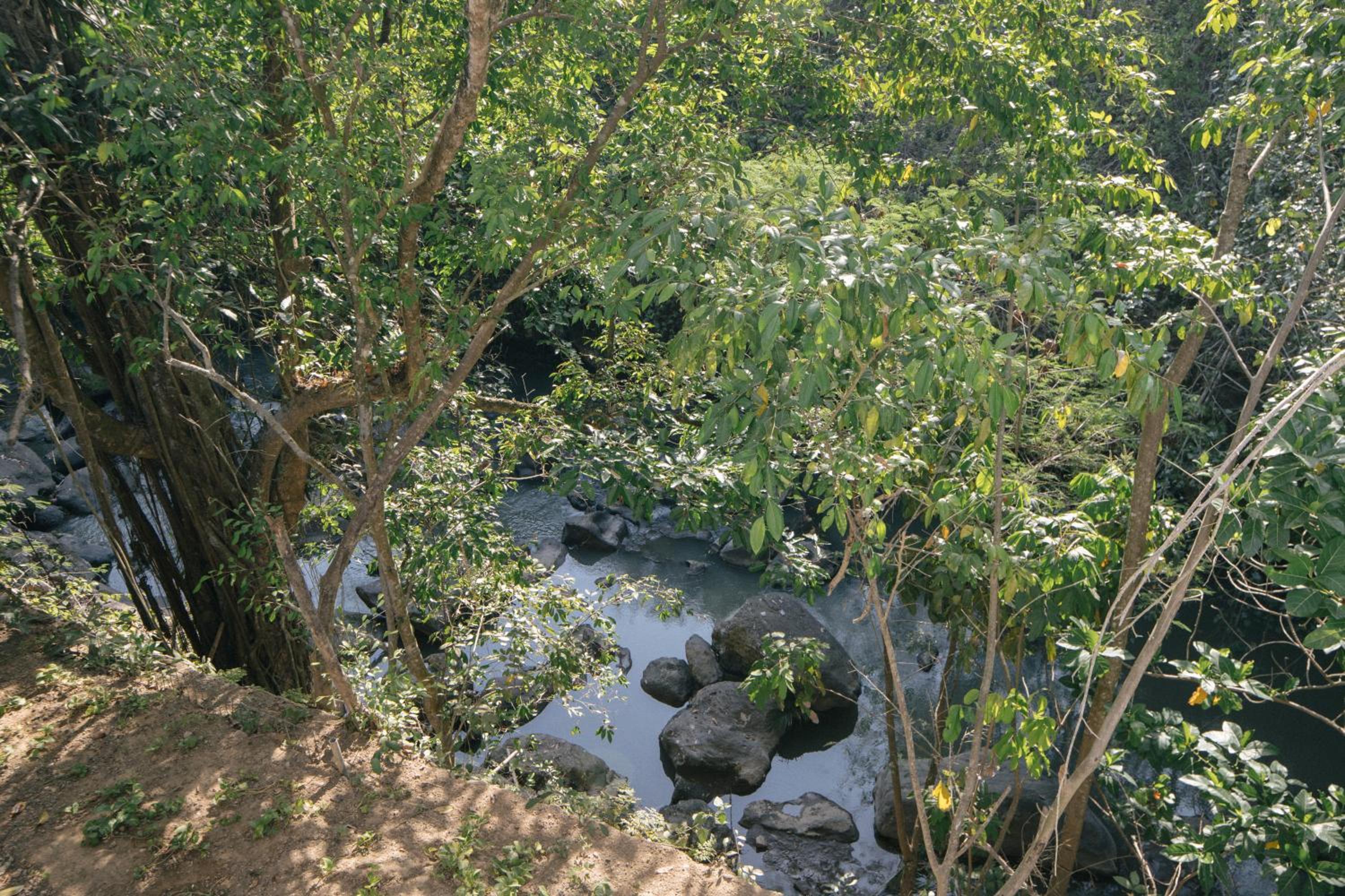 Photo 36