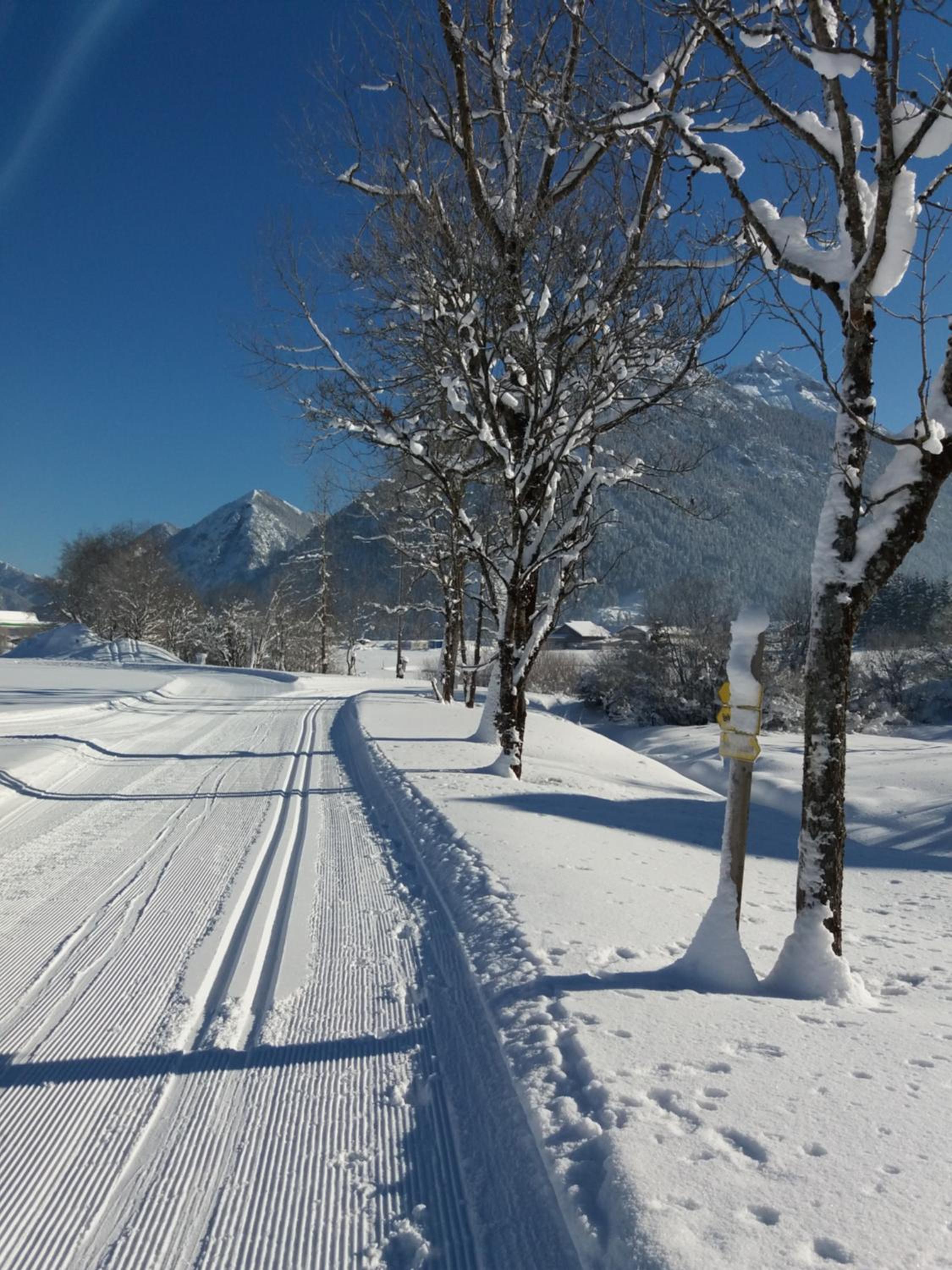 Haus Alpengruss