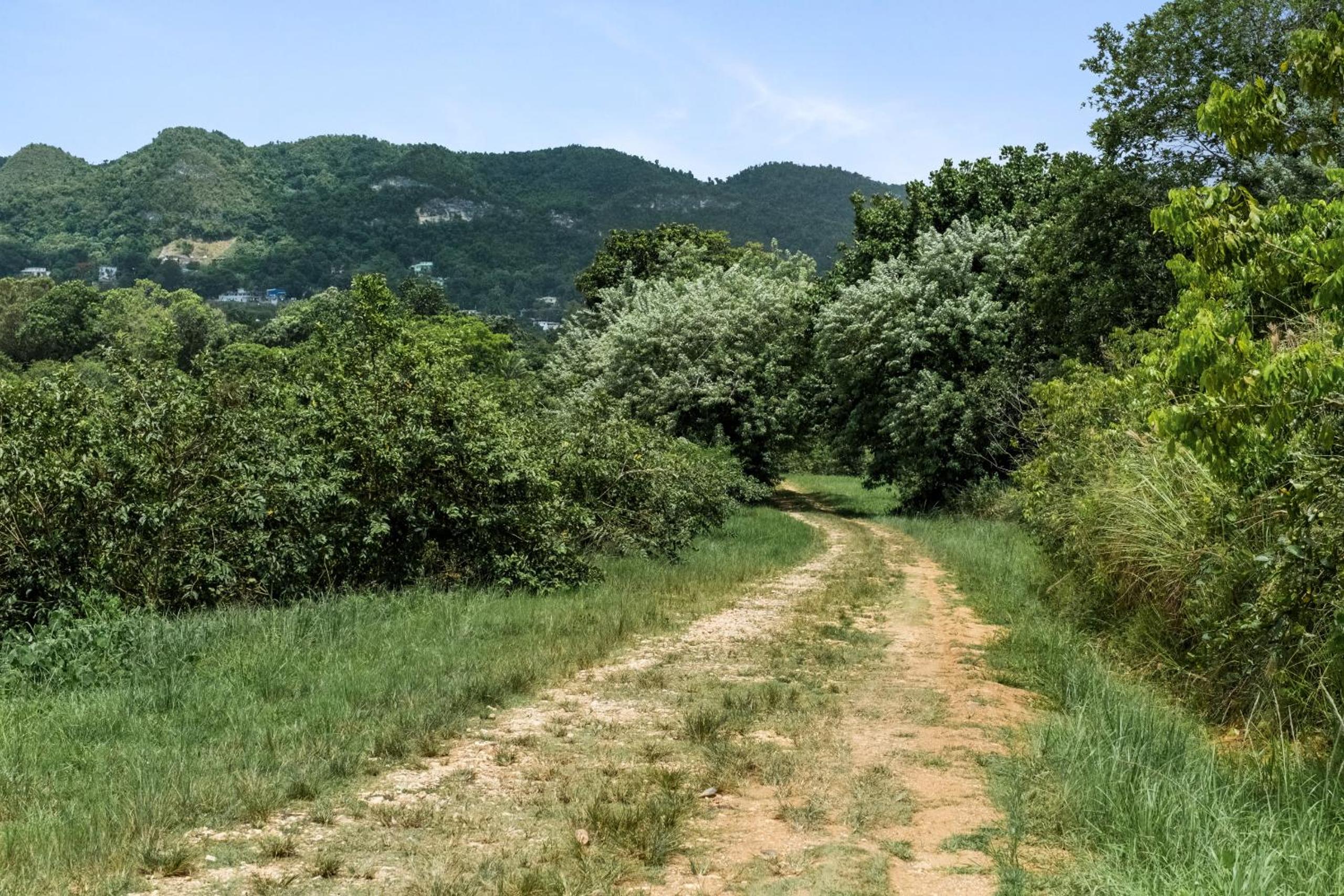Photo 41