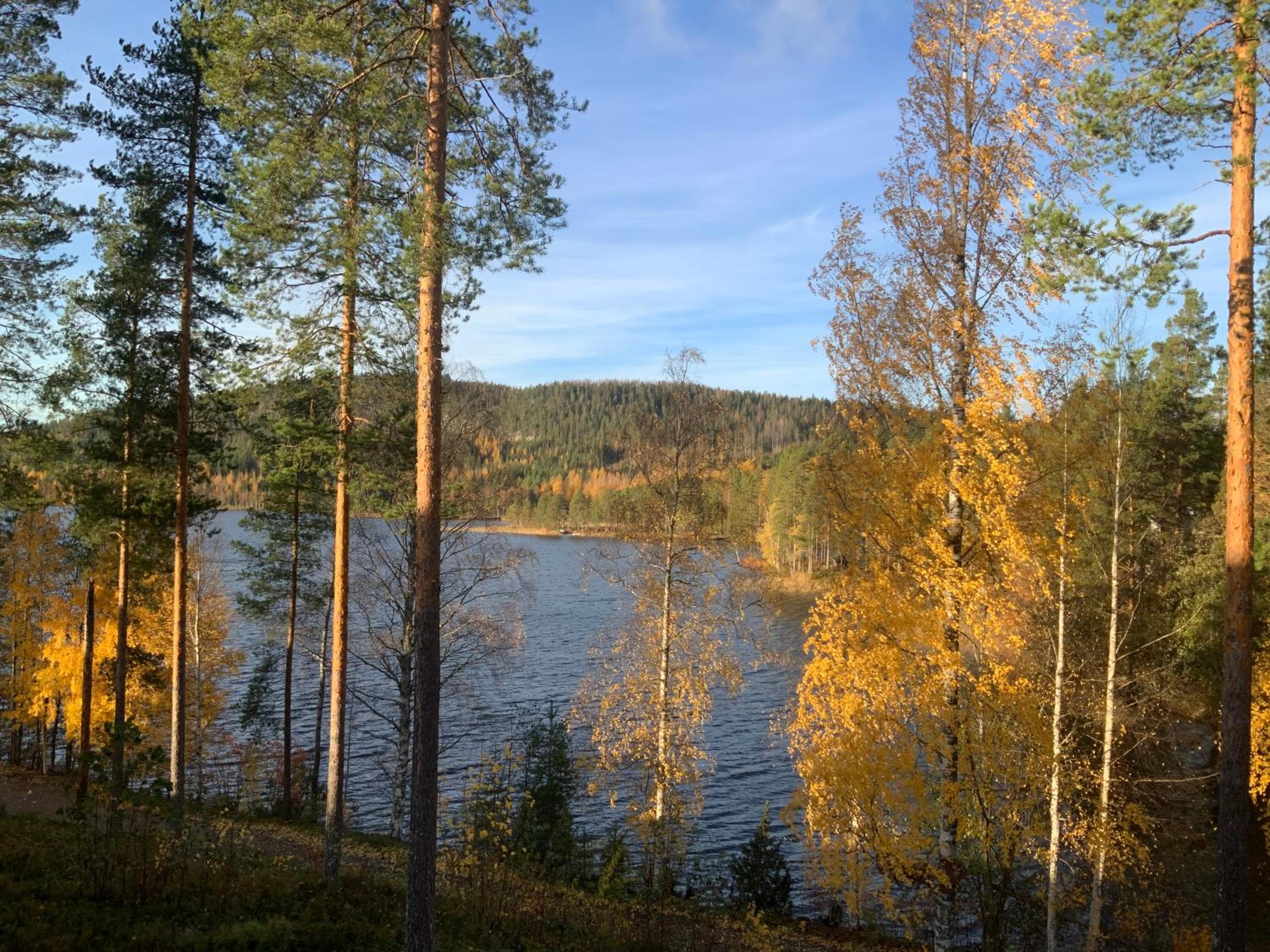 Saunaharju 5 järven rannalla