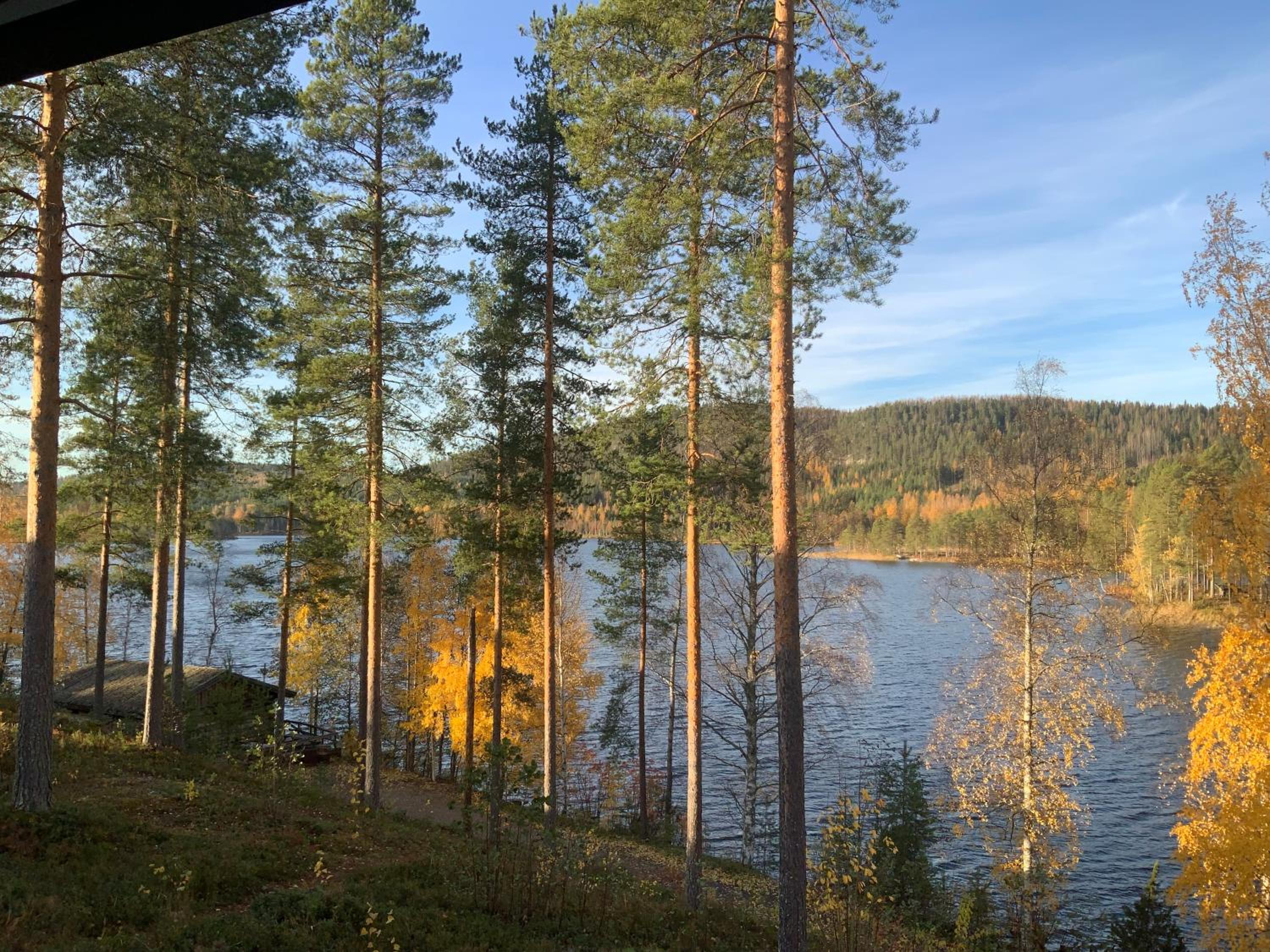 Saunaharju 5 järven rannalla