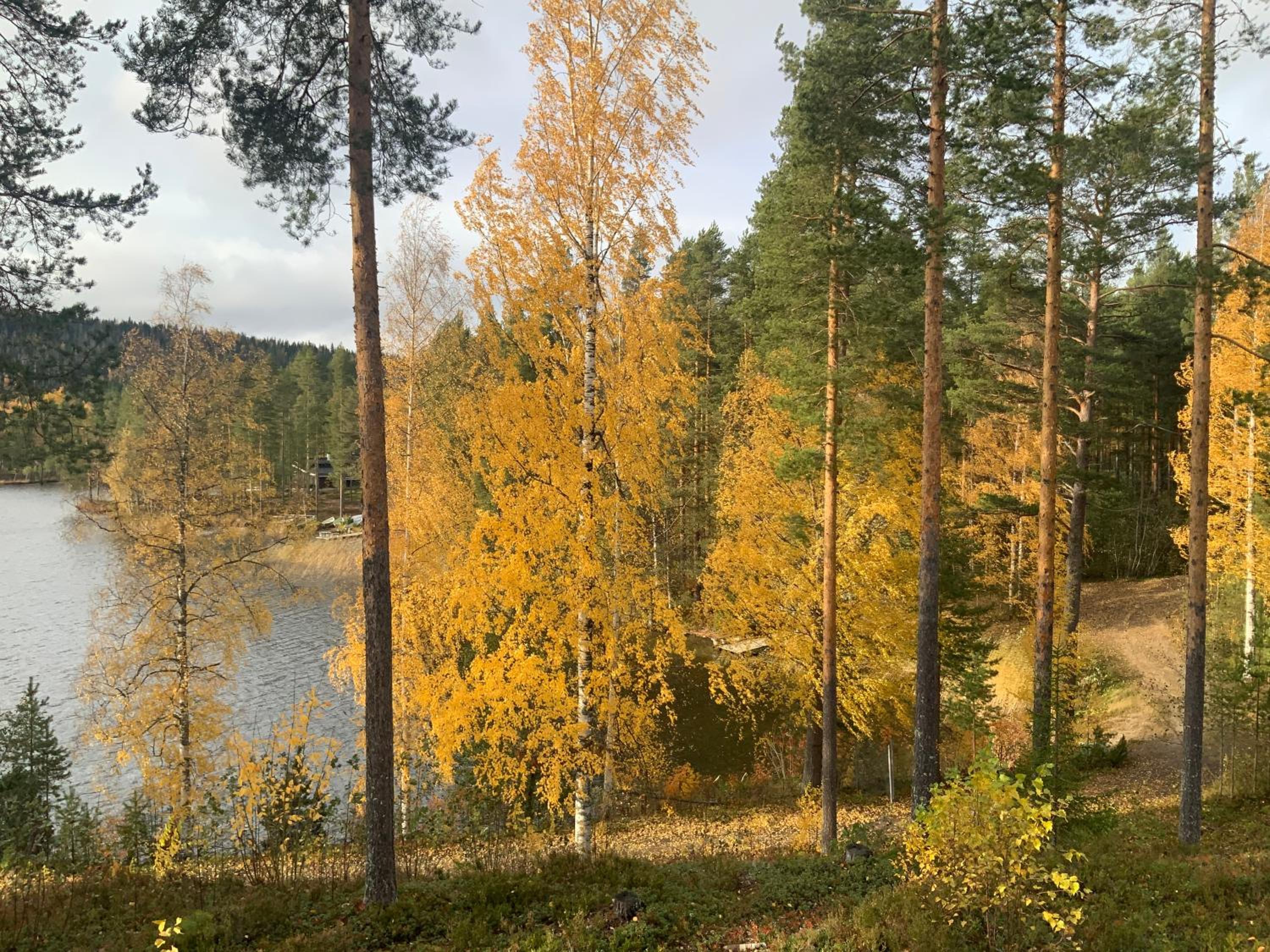 Saunaharju 5 järven rannalla