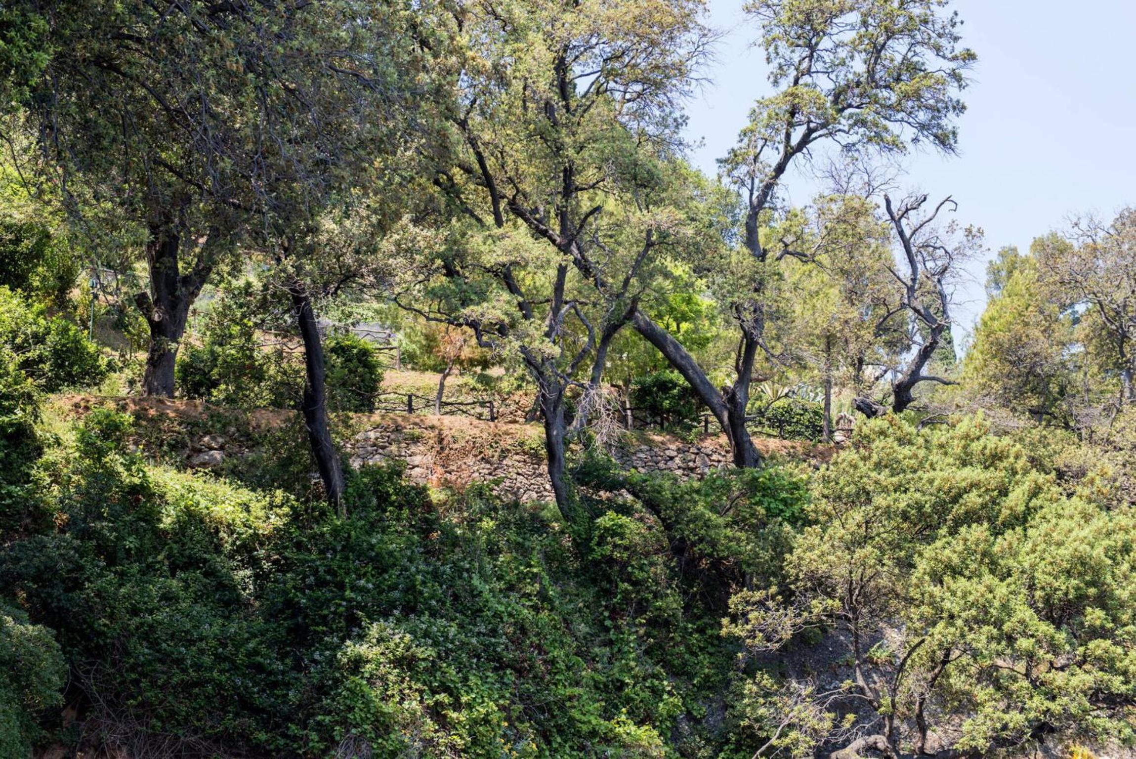 Villa Peninsula