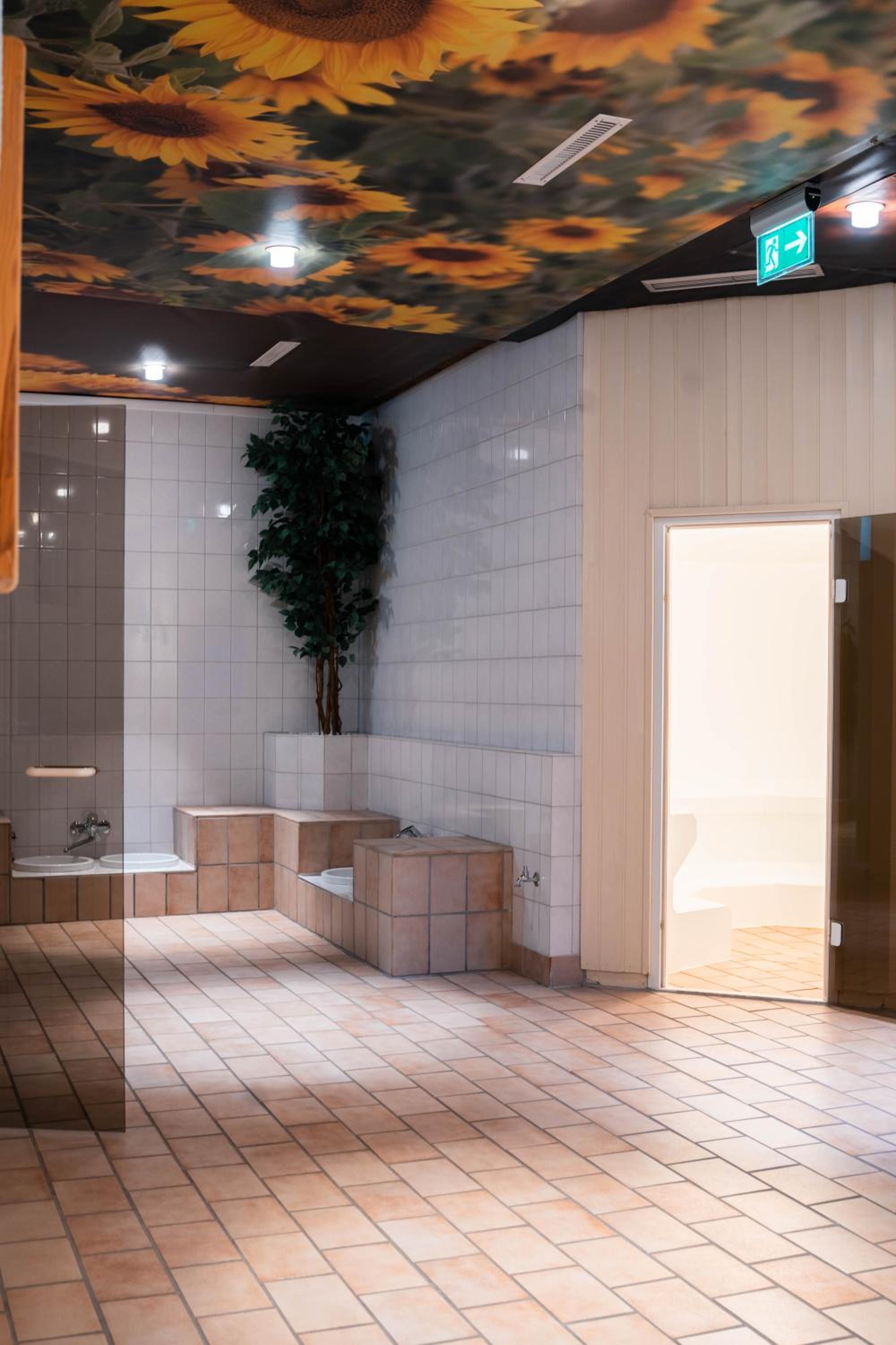Penthouse Harz-Traum 372