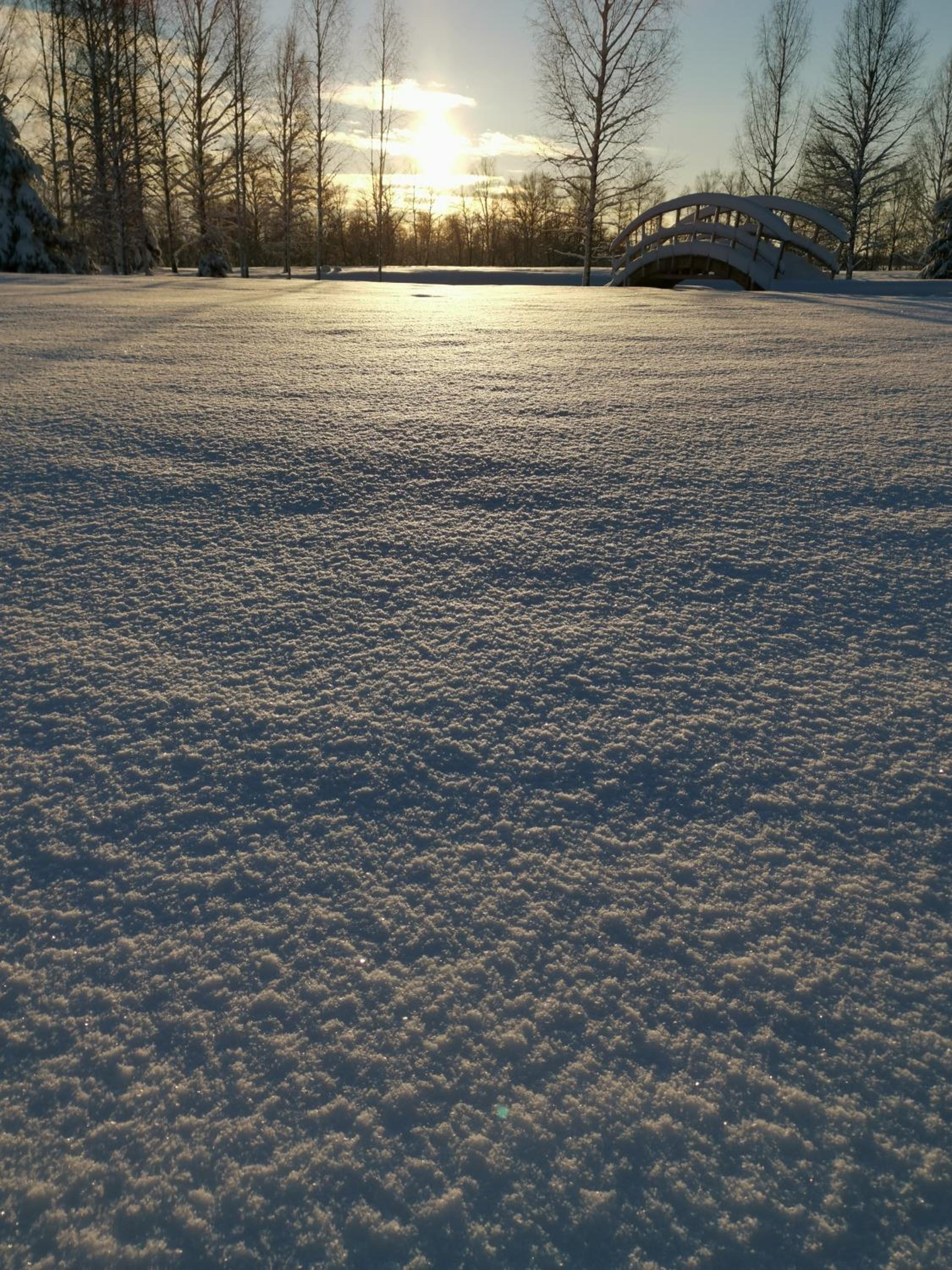 Dabas Osta