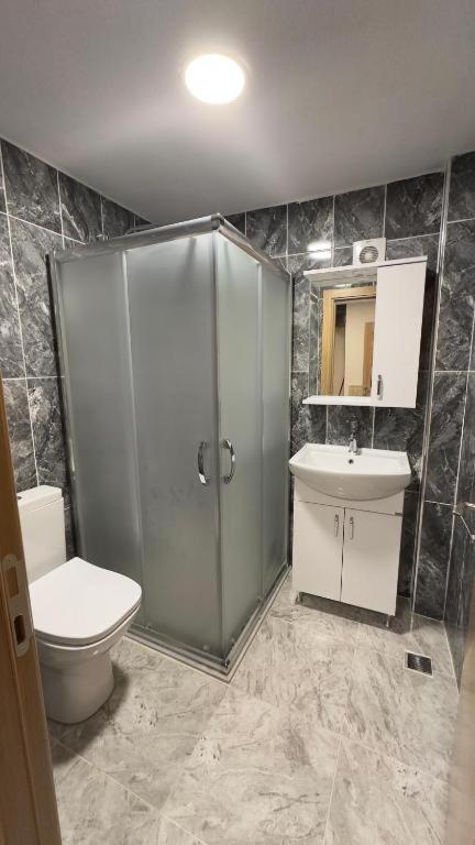 Albatros suite