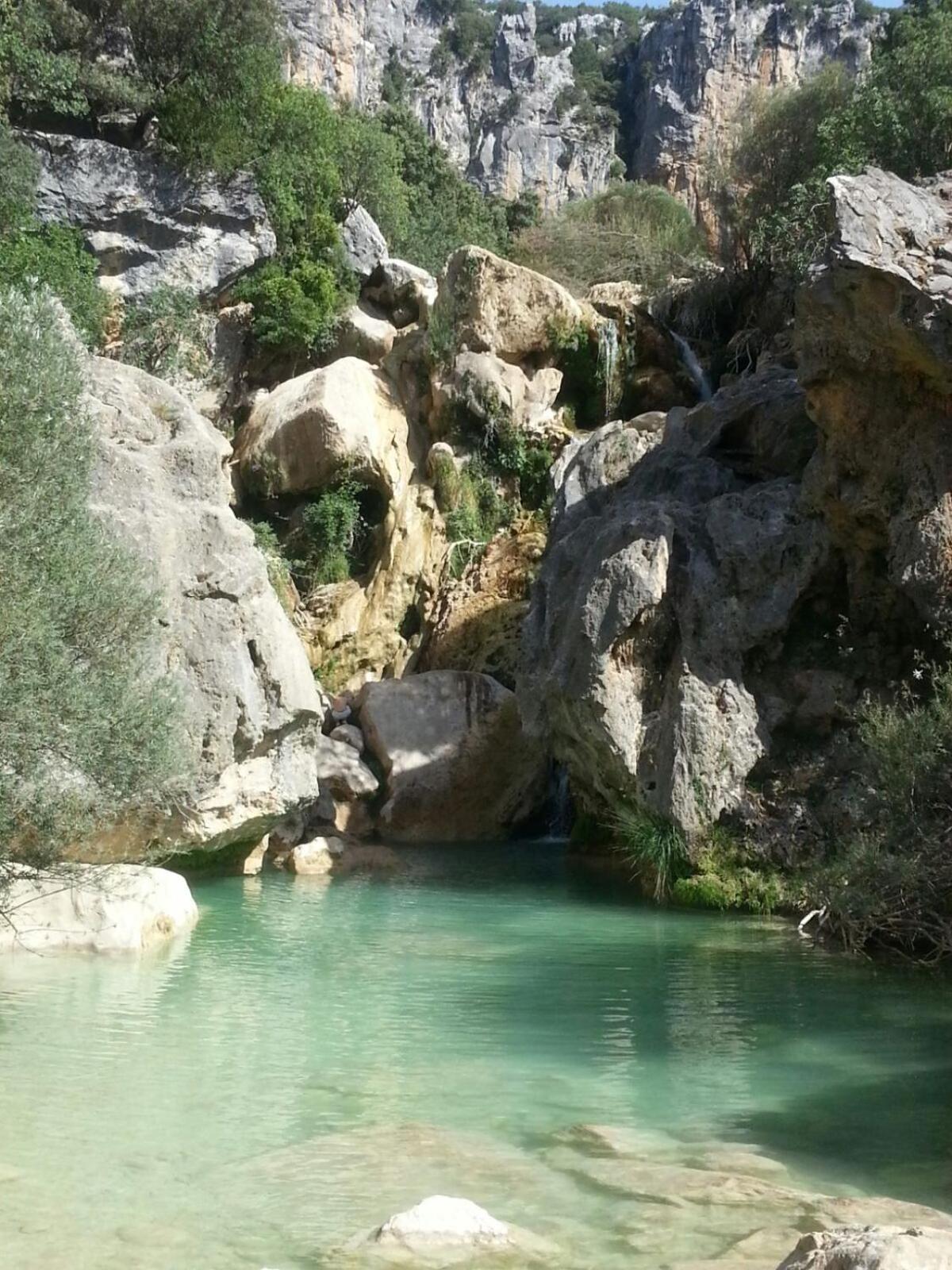 Photo 20