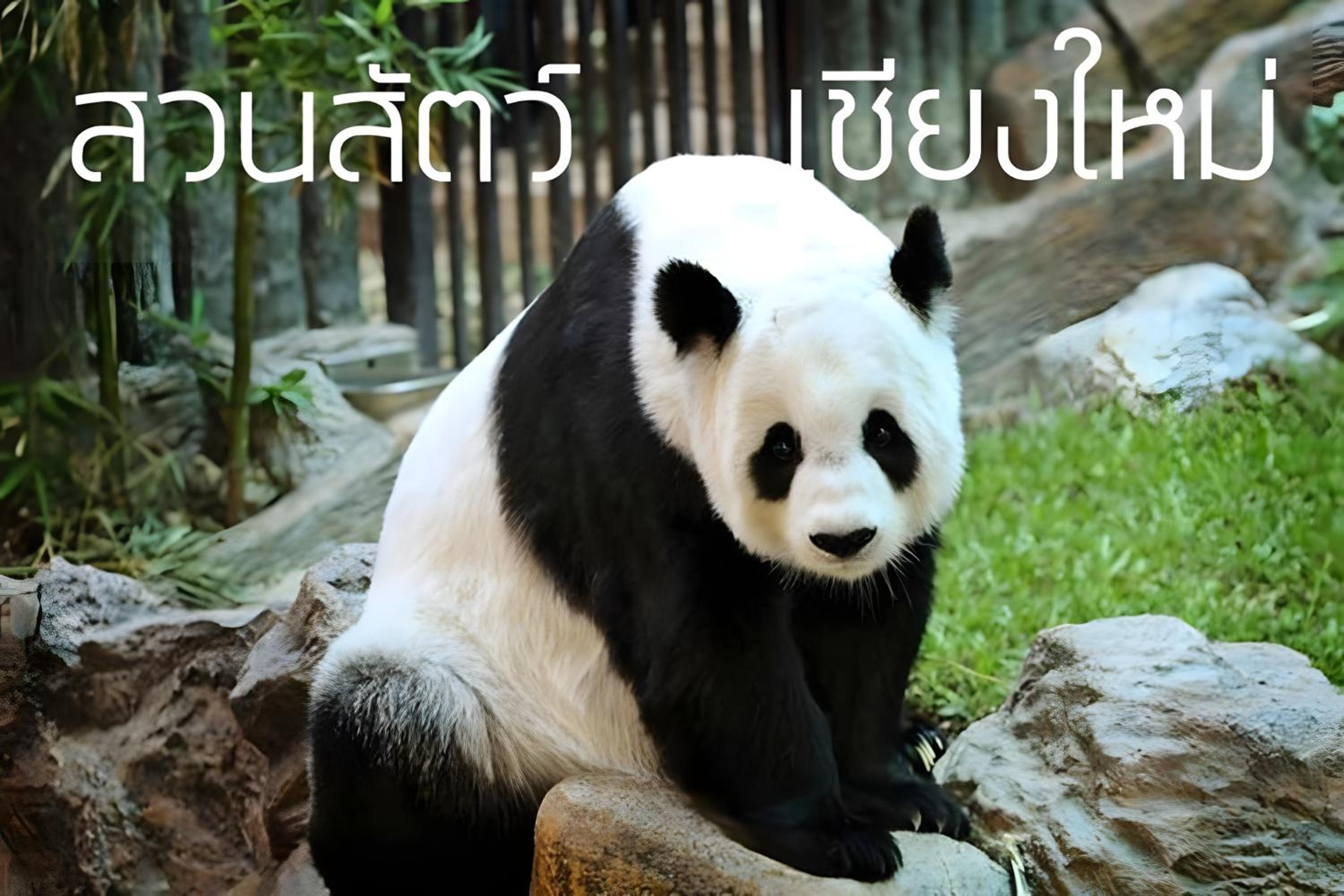 XX GO INN Chiang Mai University - CMU โกอินน์ มหาวิทยาลัยเชียงใหม่