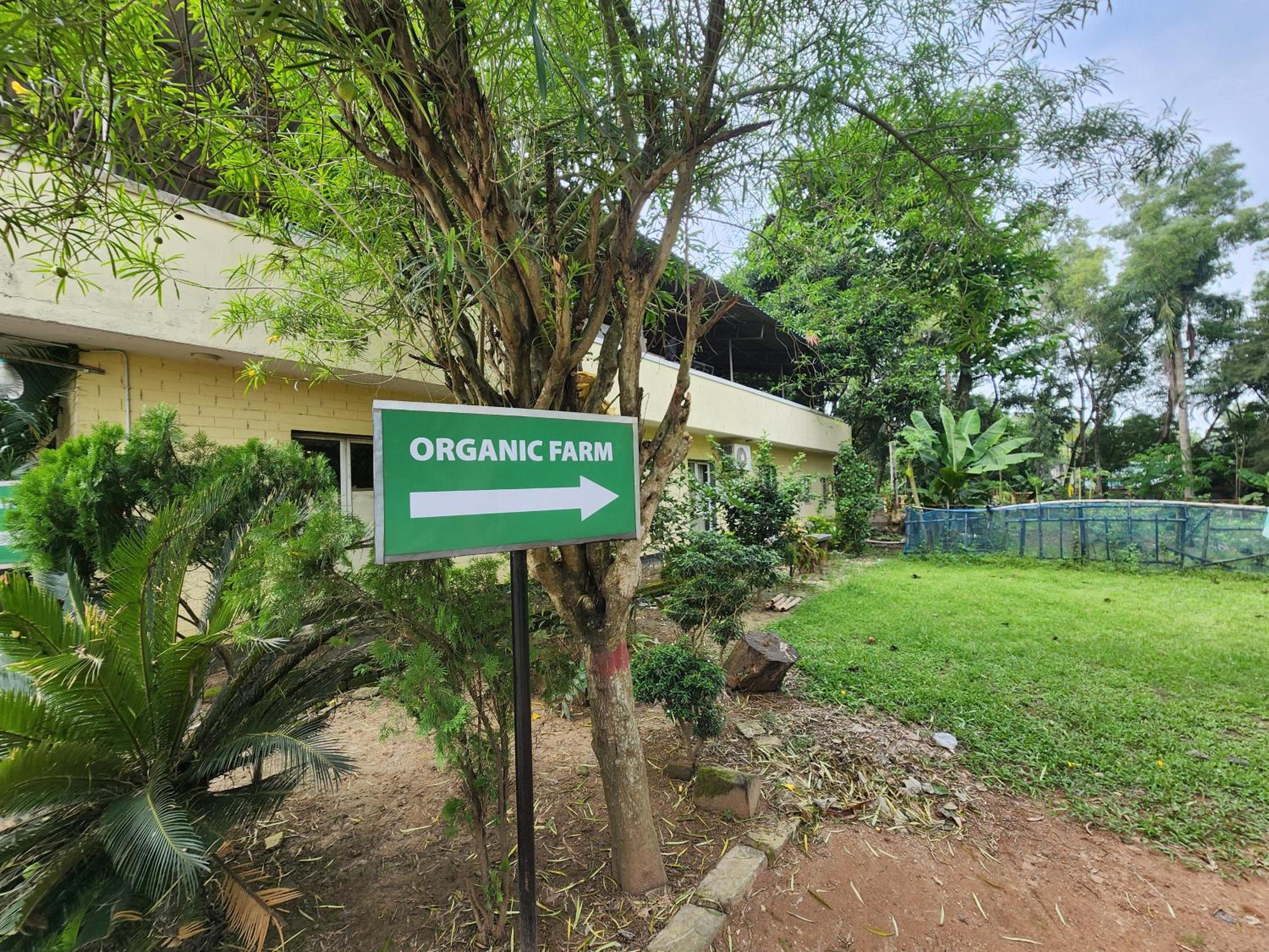 Green County Wellness Retreat