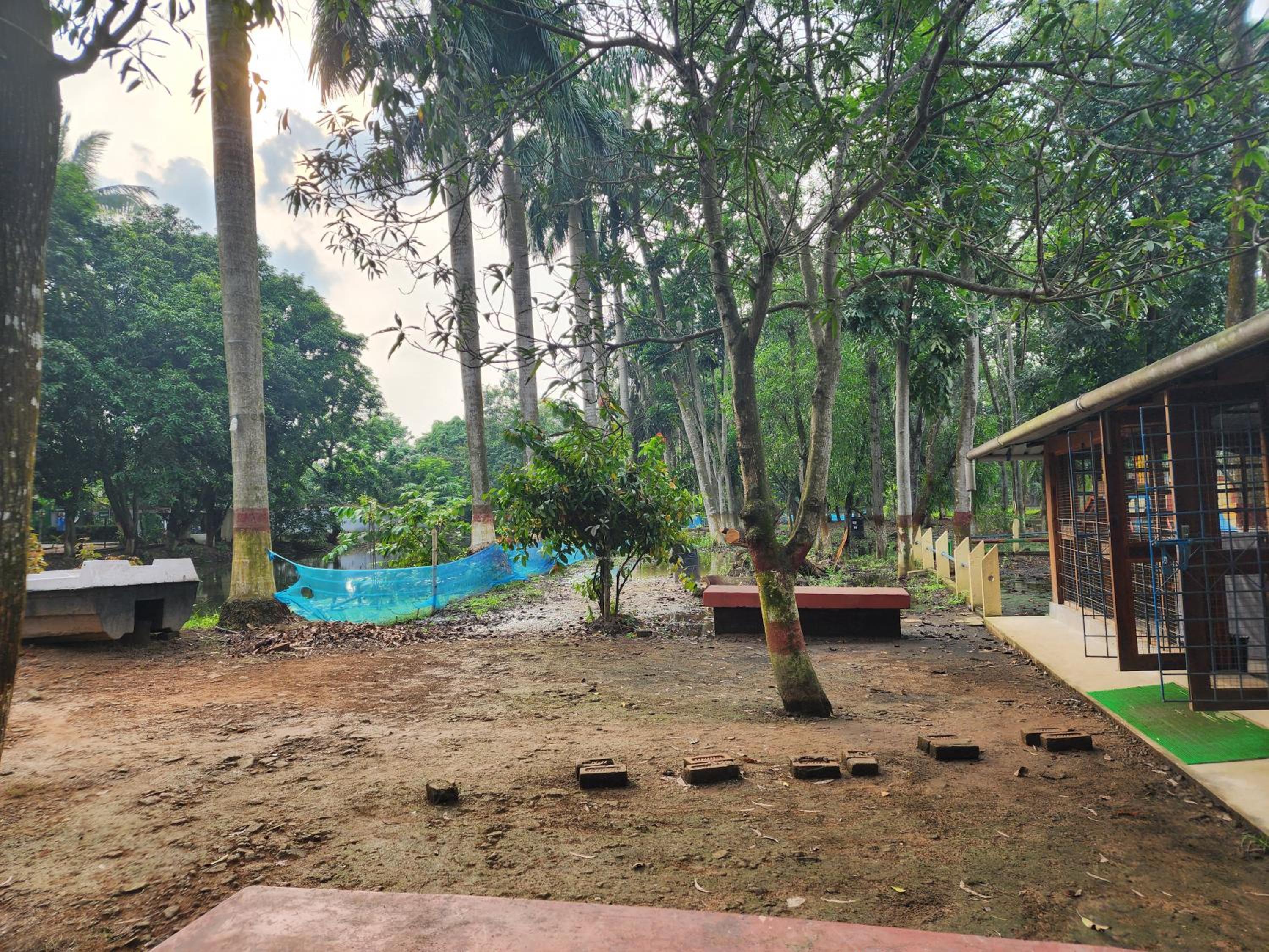 Green County Wellness Retreat
