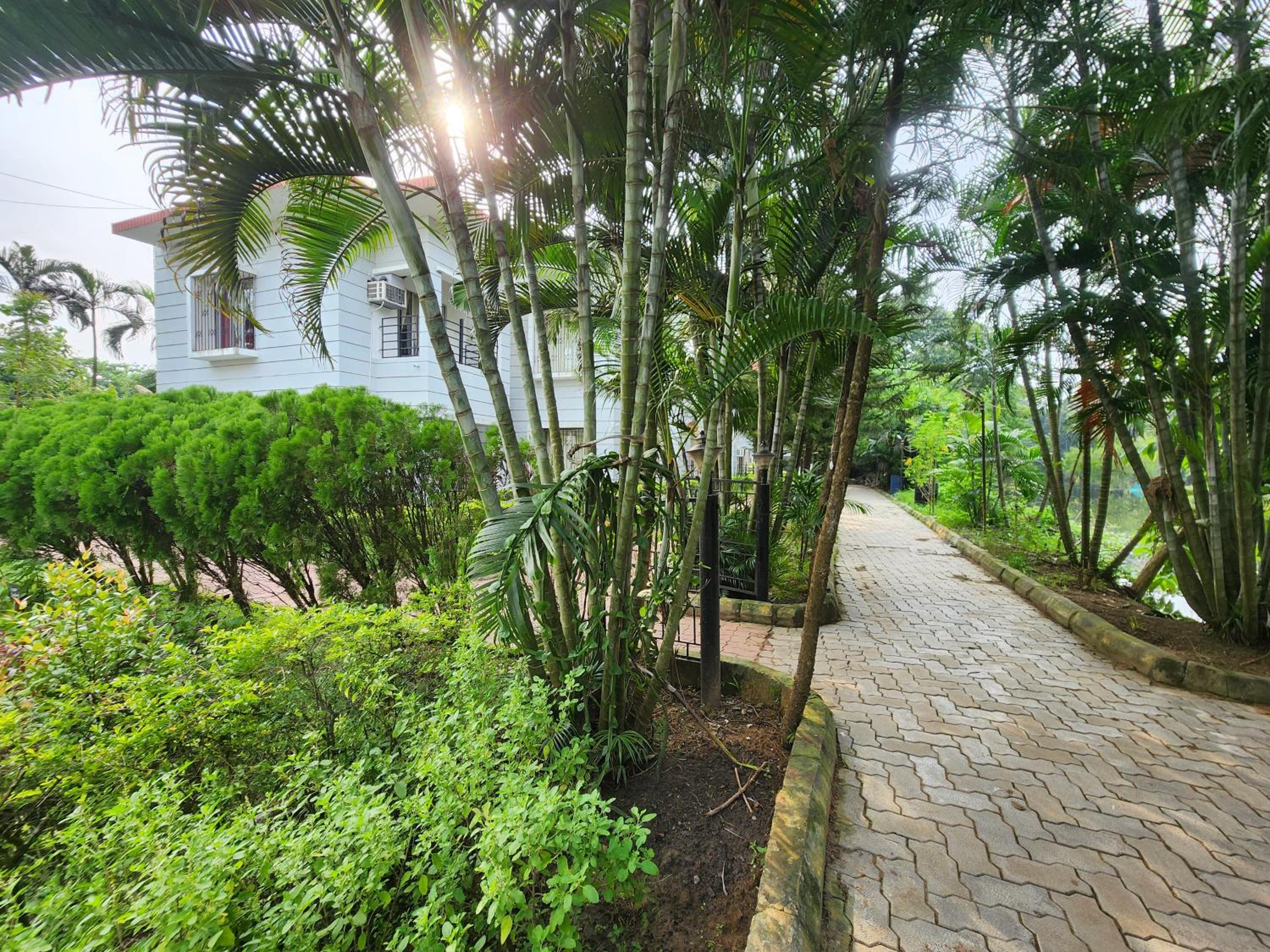 Green County Wellness Retreat