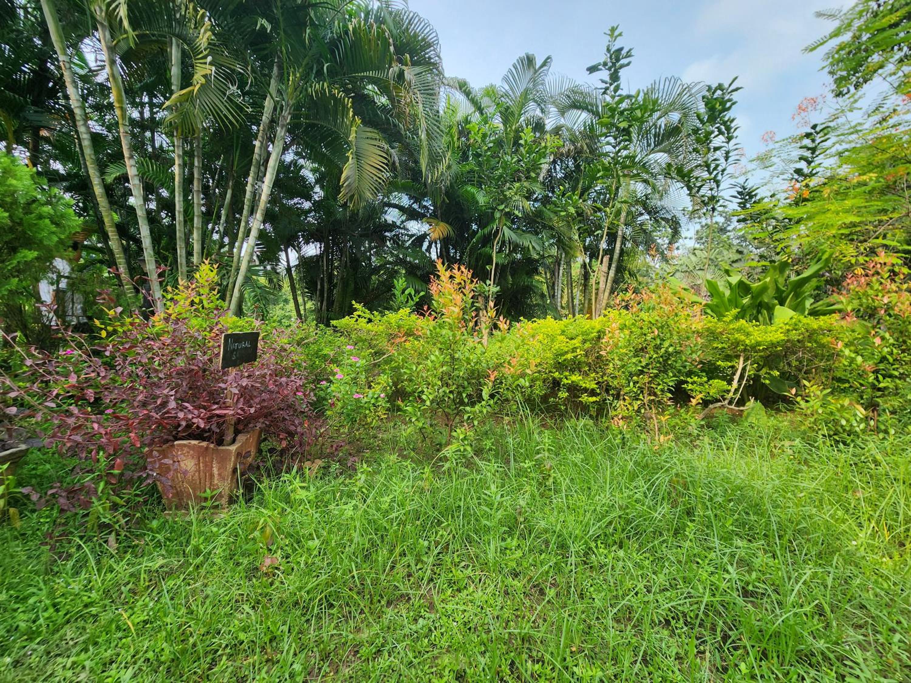 Green County Wellness Retreat
