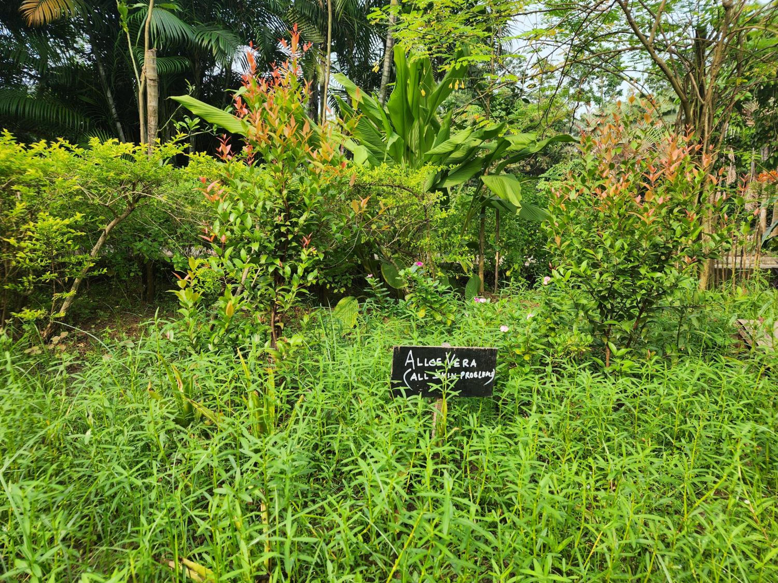 Green County Wellness Retreat
