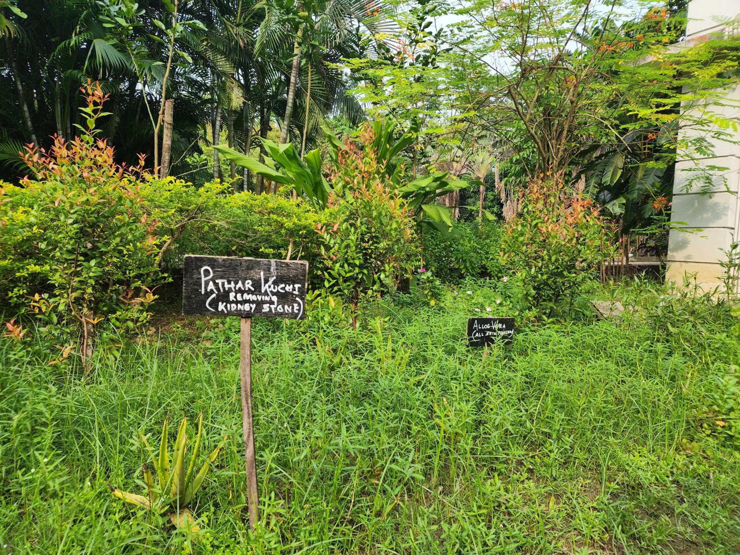 Green County Wellness Retreat