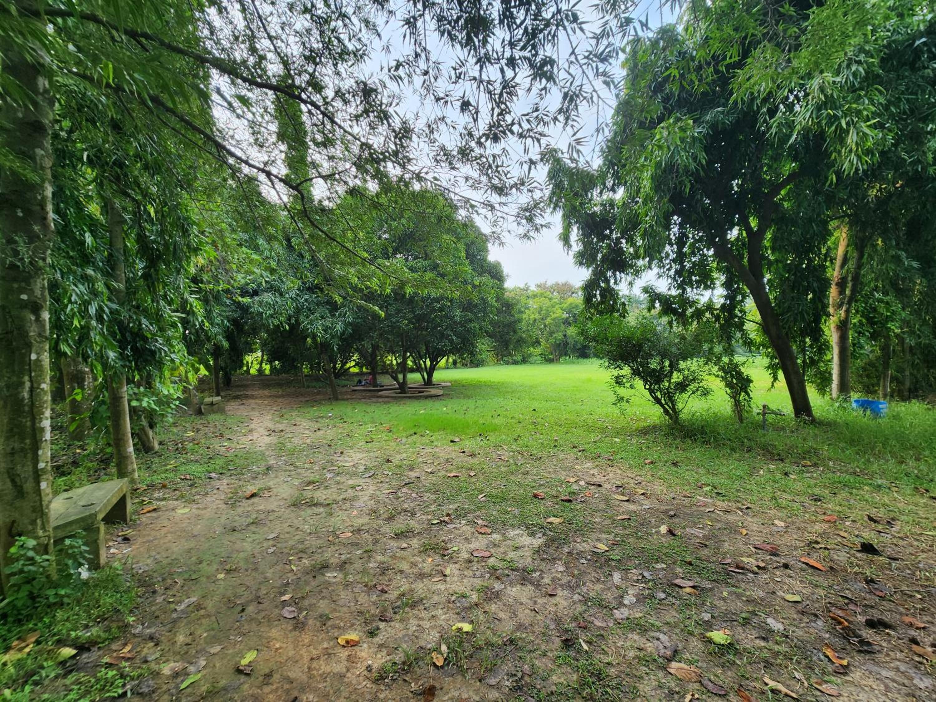 Green County Wellness Retreat