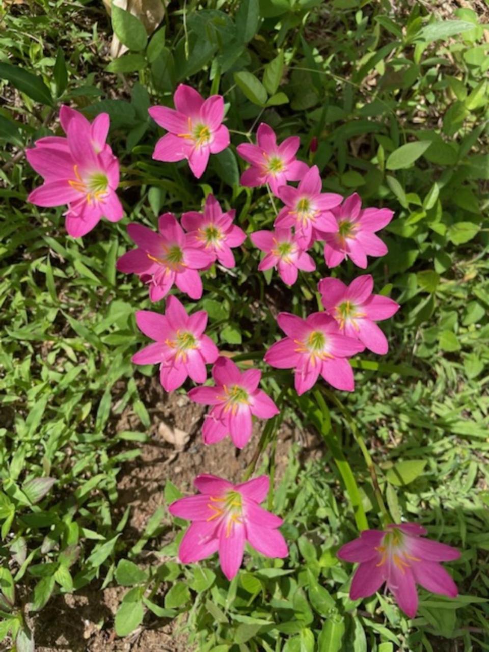 Photo 22
