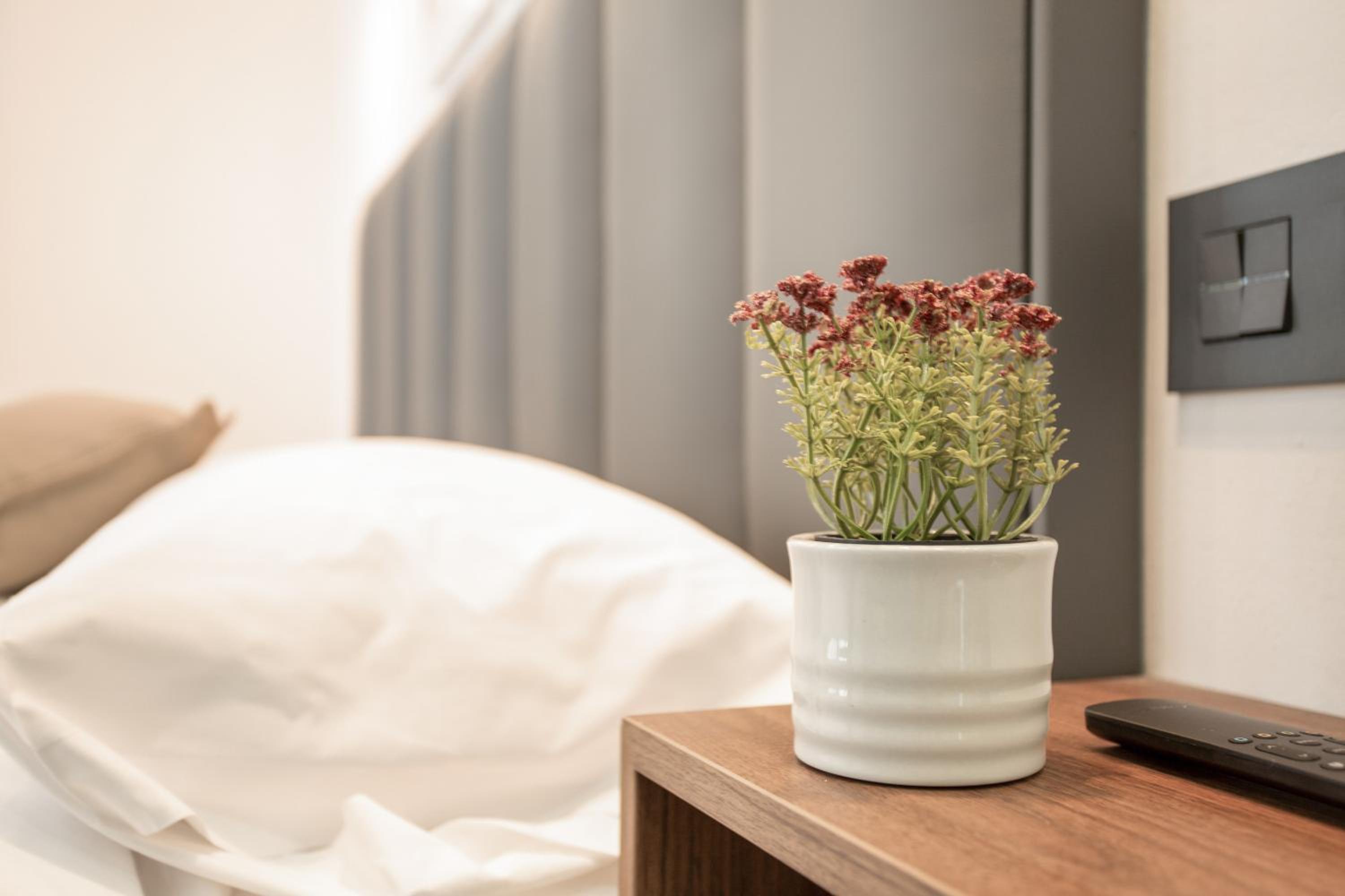 Atw Suites Canteras