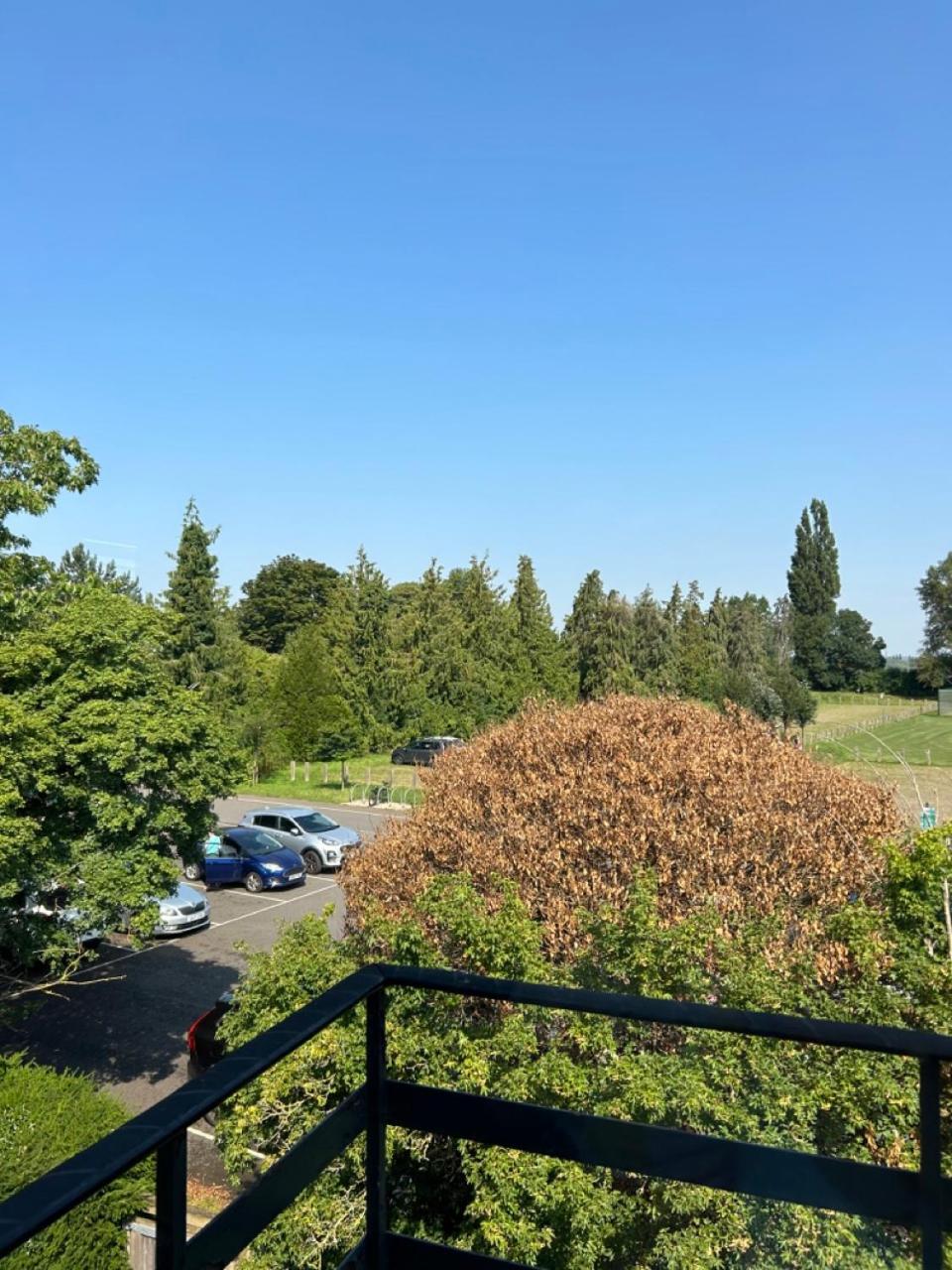 Fabulous 2-Bedroom Apartment in North Oxford view 2