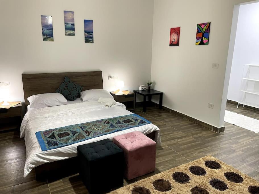 One Bed Room Garden View Apartment