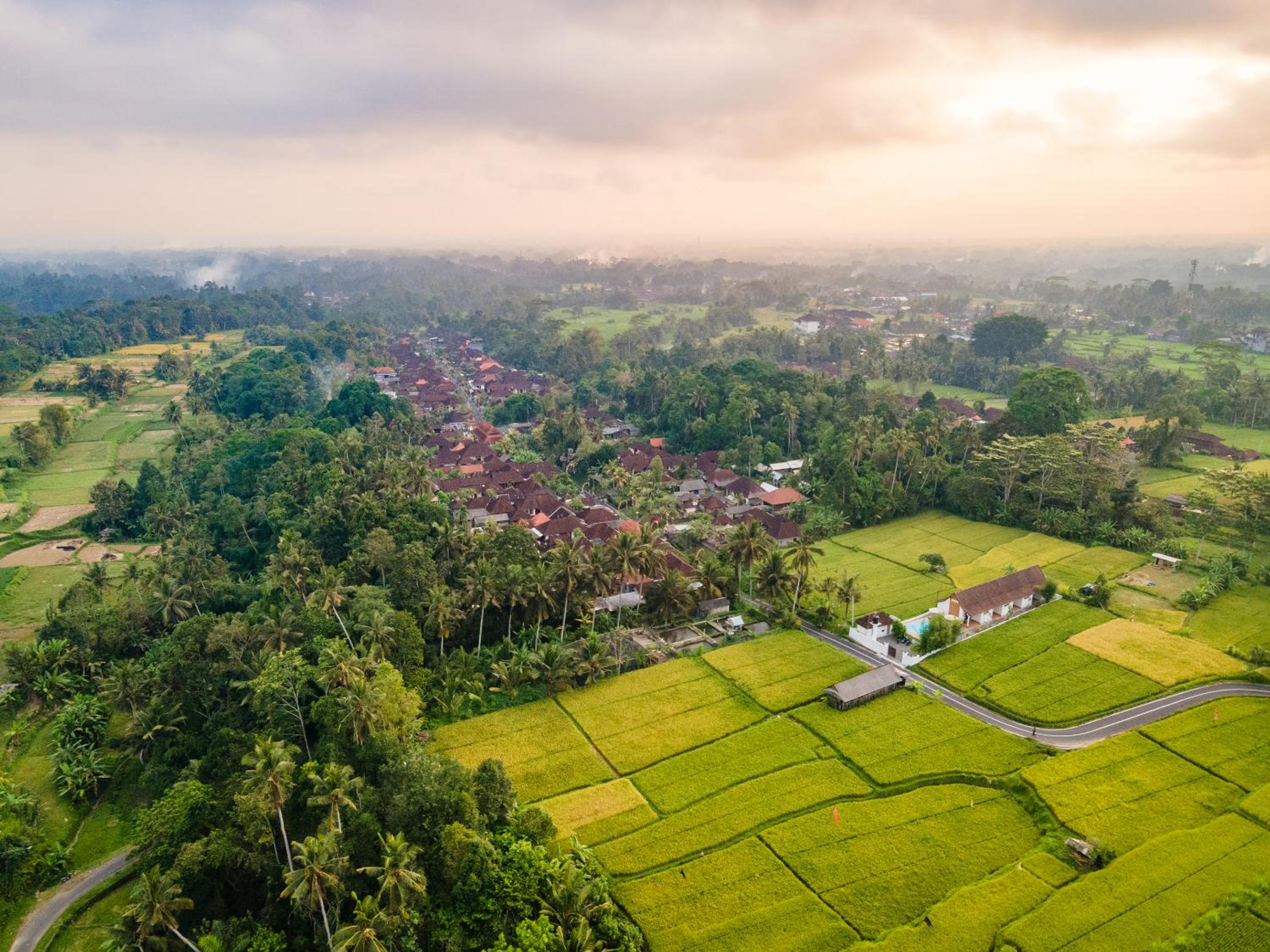 Aura Apartments Ubud