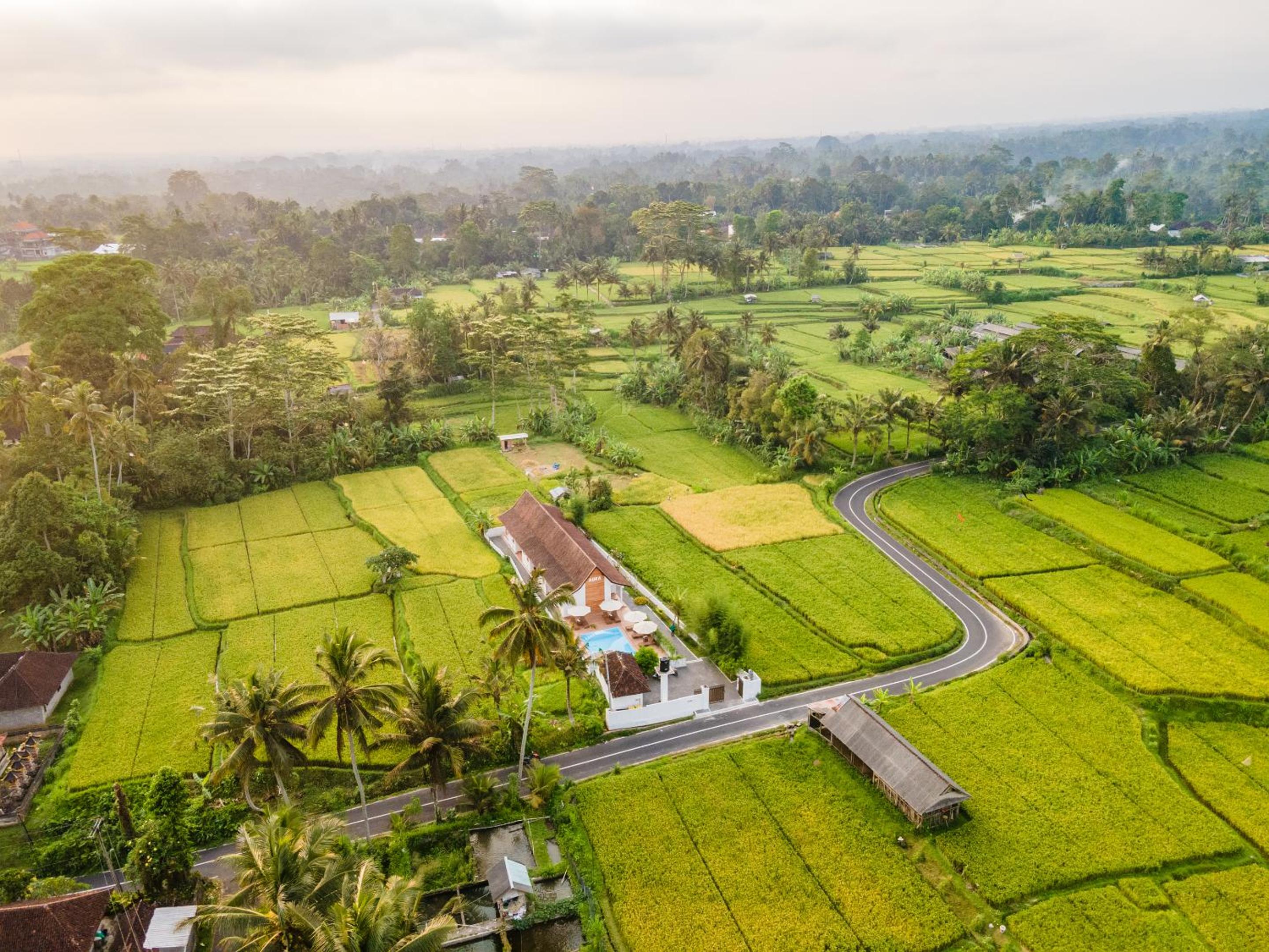 Aura Apartments Ubud